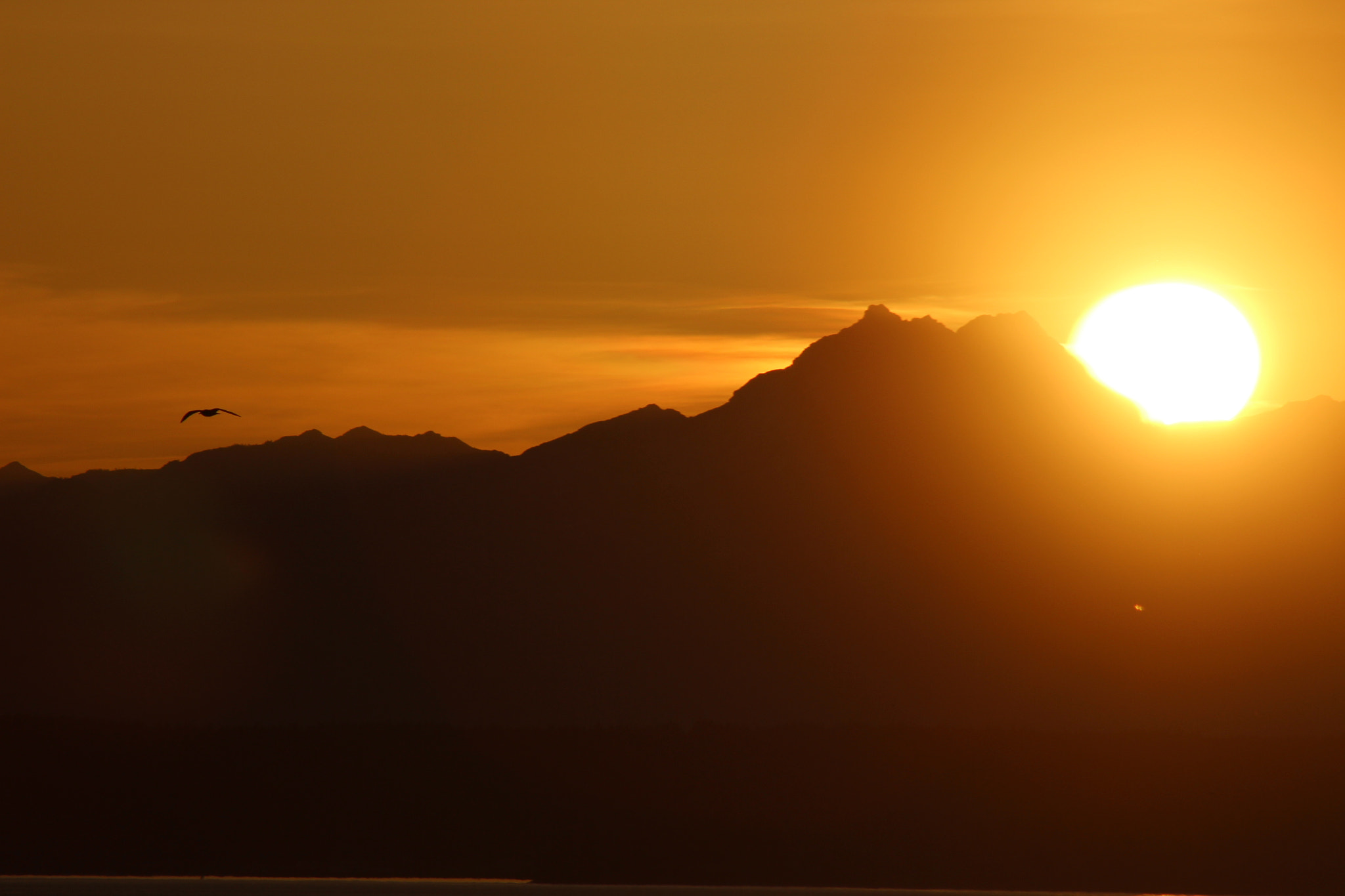 Canon EF 75-300mm f/4-5.6 USM sample photo. Img photography