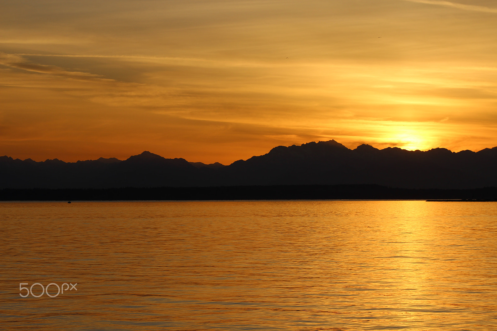 Canon EOS 600D (Rebel EOS T3i / EOS Kiss X5) sample photo. Beautiful sunset in seattle photography
