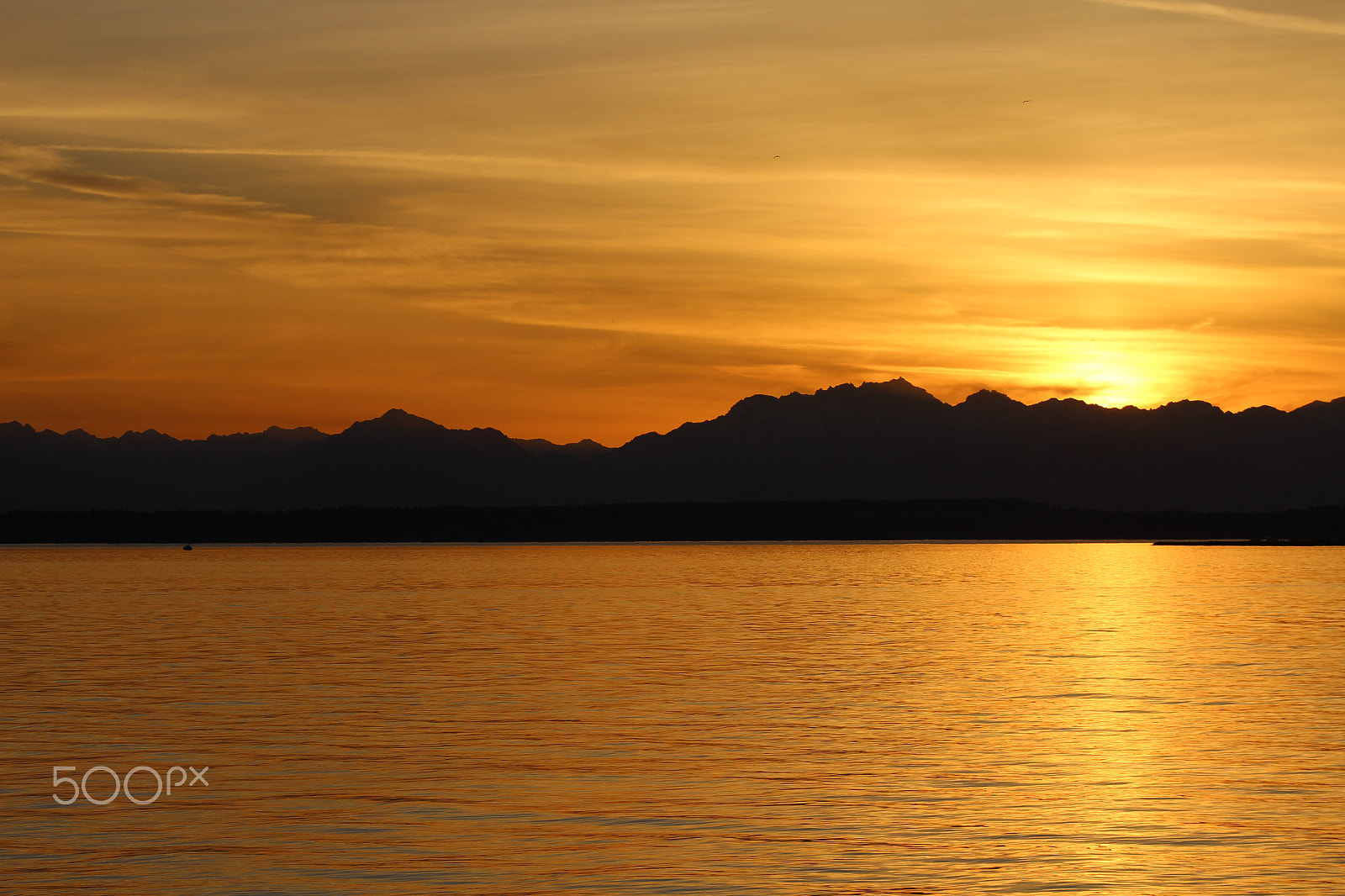Canon EF 75-300mm f/4-5.6 USM sample photo. Beautiful sunset in seattle photography