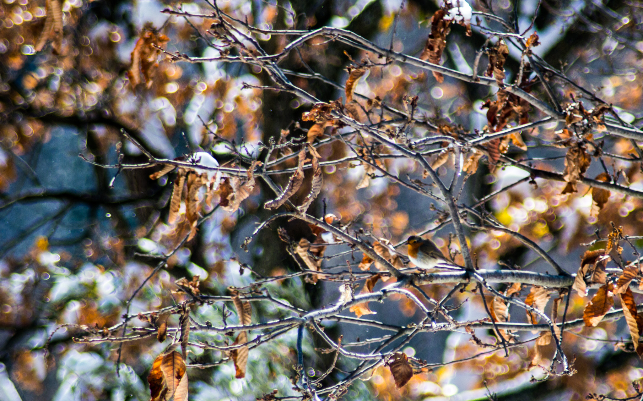 Nikon D3200 sample photo. Contraste photography
