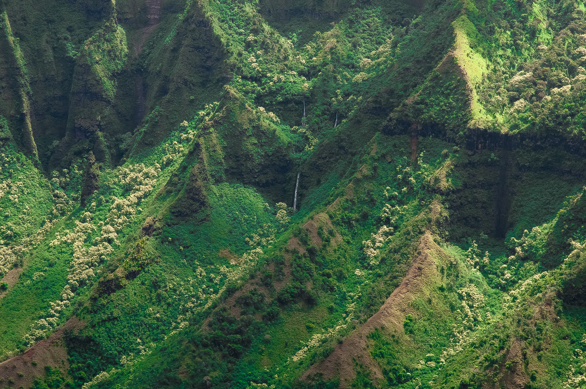 Nikon D300S sample photo. Na pali cliffs 1 photography