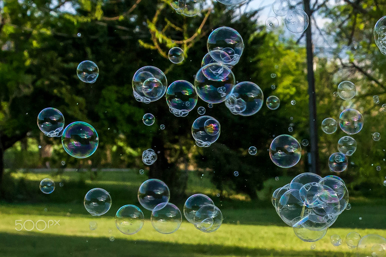 Canon EOS 5D sample photo. The bubbles photography