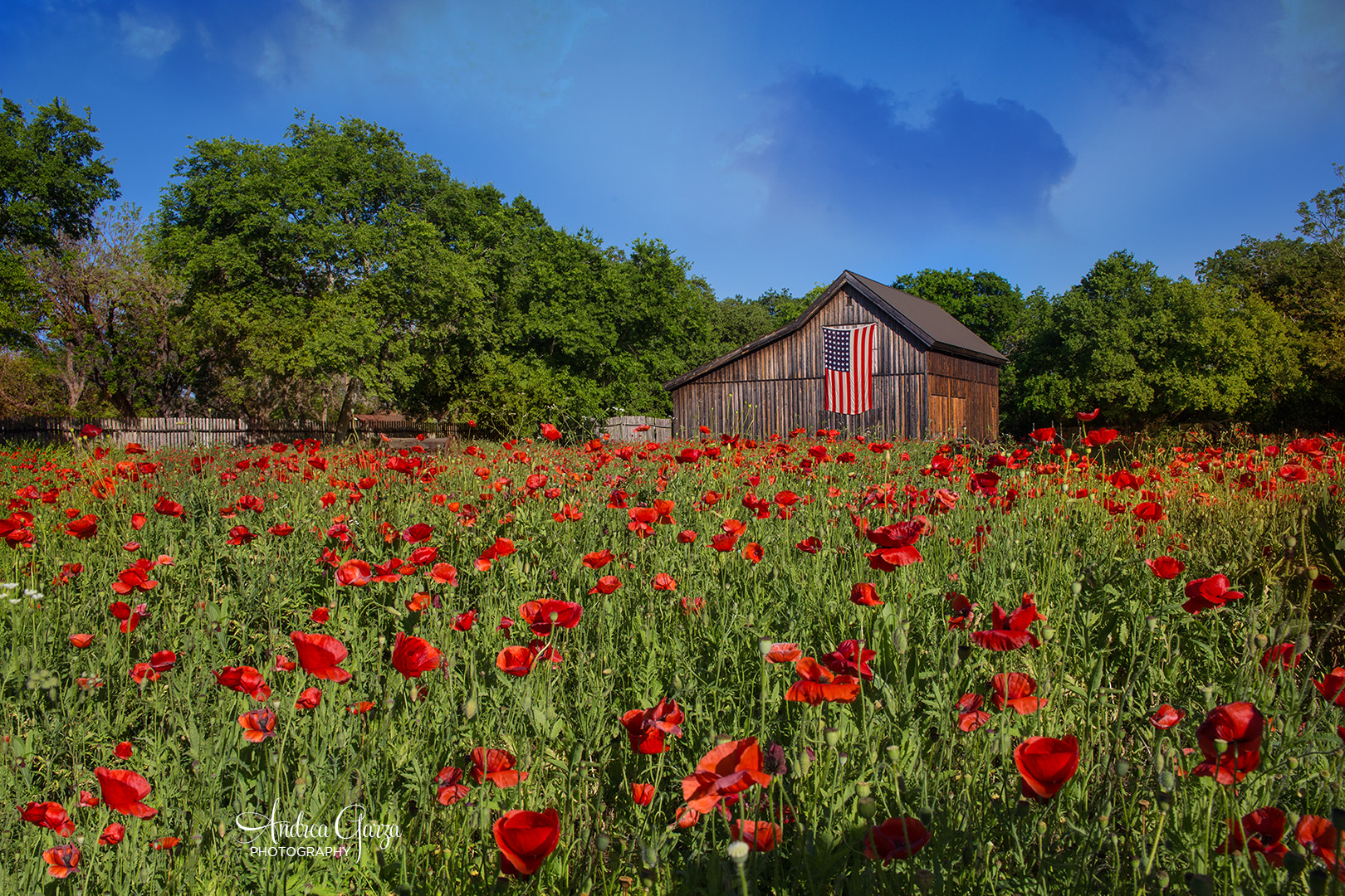 Canon EOS 6D sample photo. Poppy field and patriotic barn photography