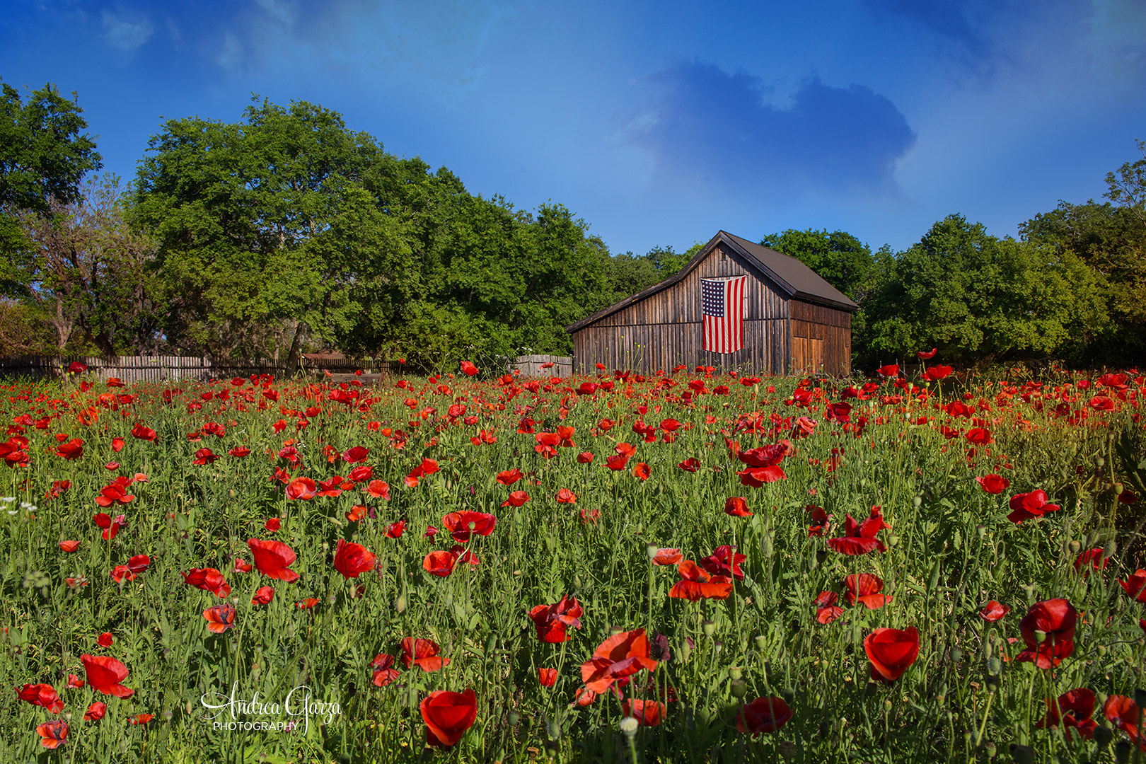 Canon EOS 6D + Sigma 24-70mm F2.8 EX DG Macro sample photo. Poppy field and patriotic barn photography