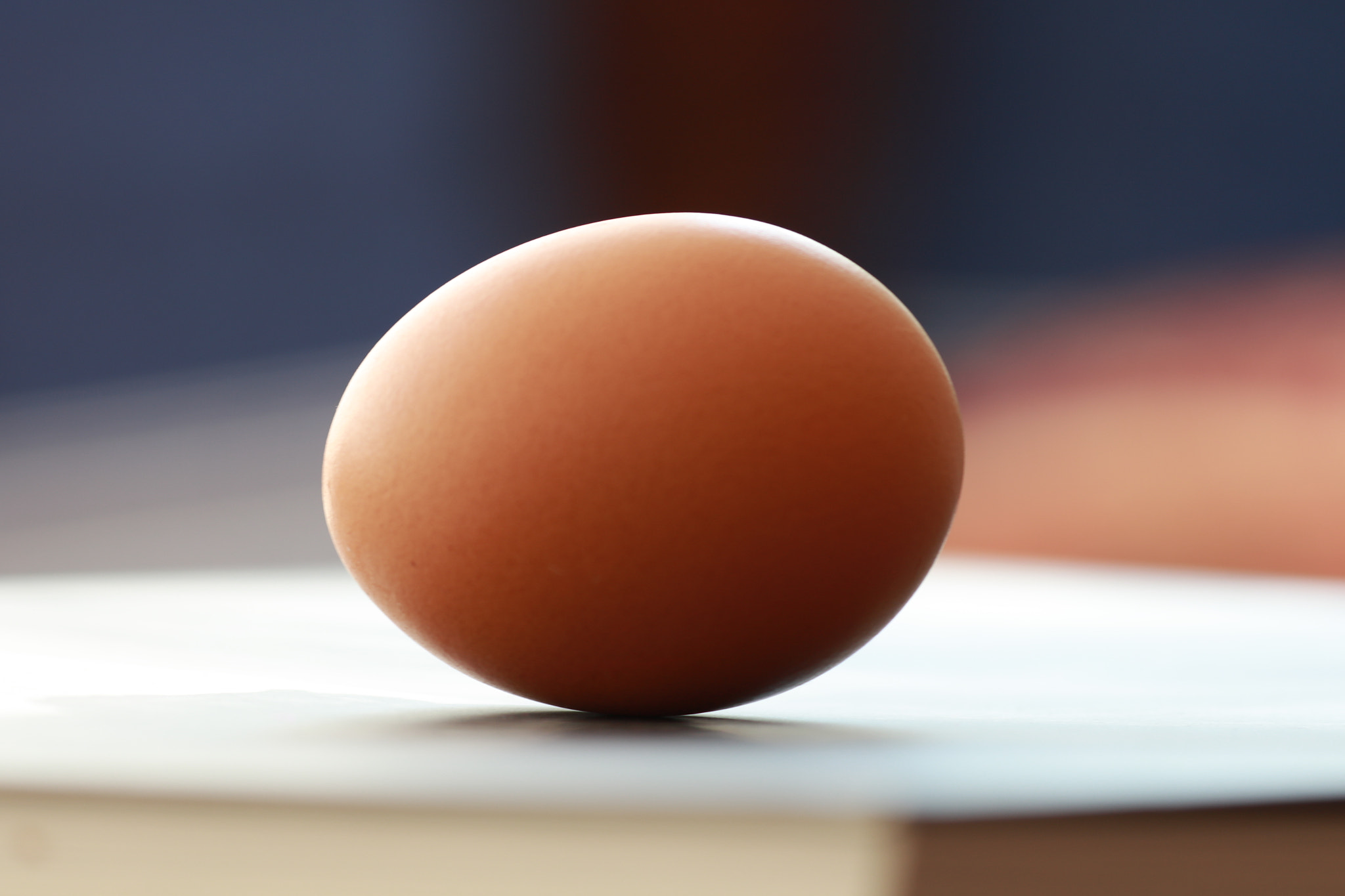 Canon EOS 5DS R sample photo. The egg is a wonder of nature, his perfection attracts me. photography