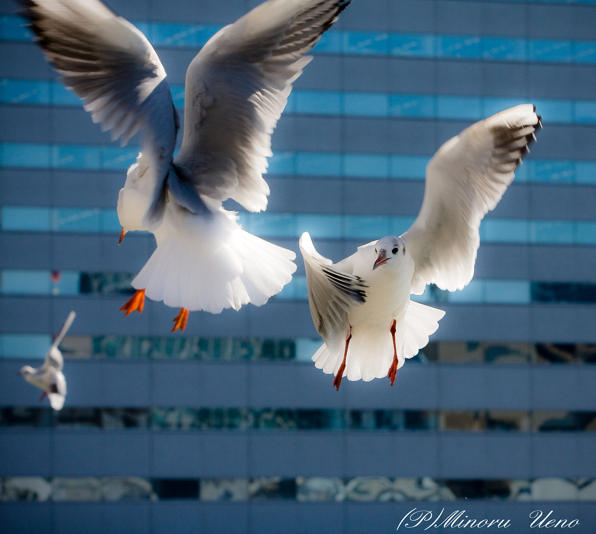 Canon EF 70-200mm F2.8L USM sample photo. -4634-2.jpg photography