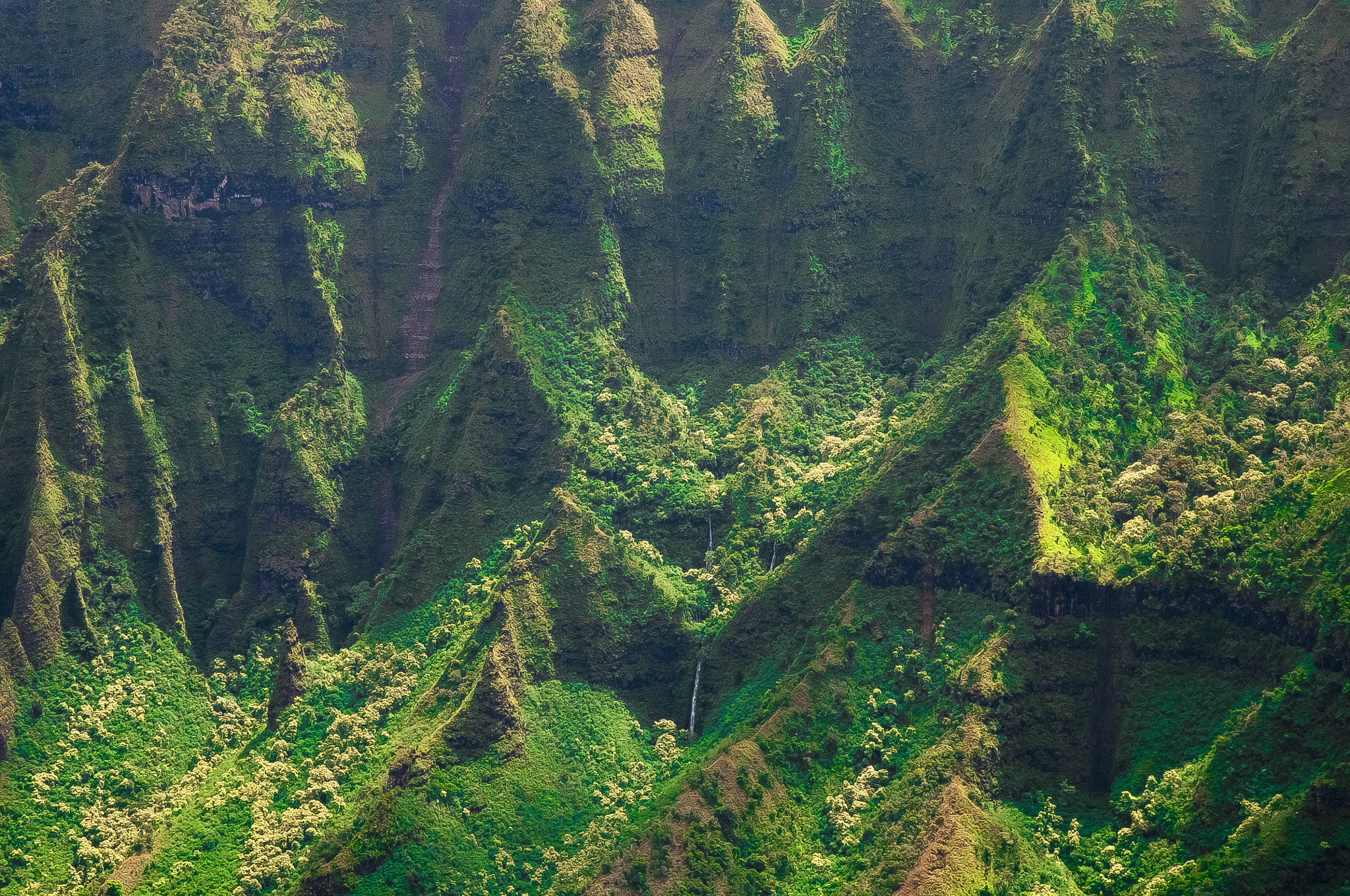 Nikon D300S sample photo. Na pali cliffs 3 photography