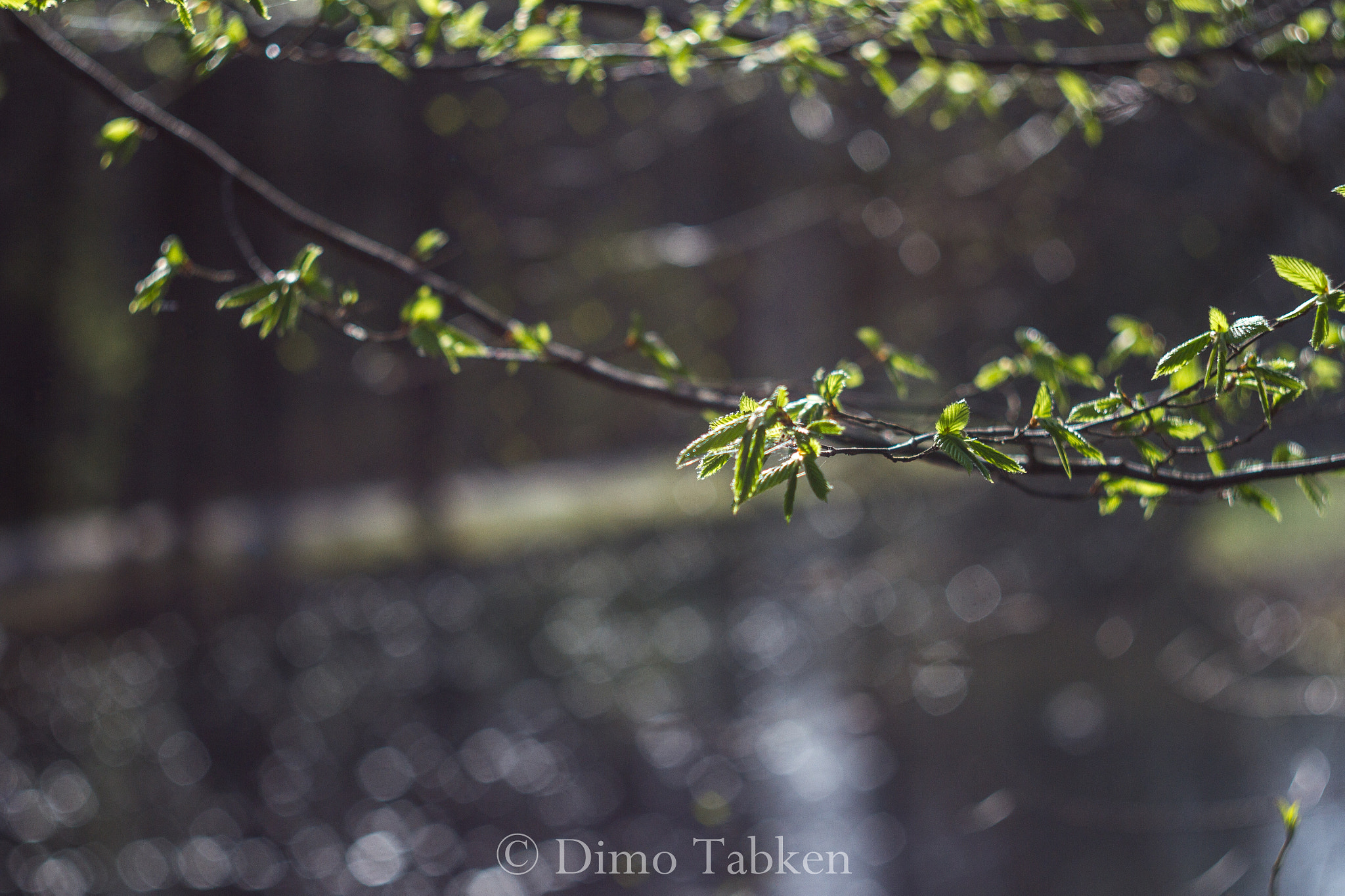 Canon EOS 7D + Canon EF 35-80mm f/4-5.6 sample photo. The magic of old lenses helios 44-2 photography