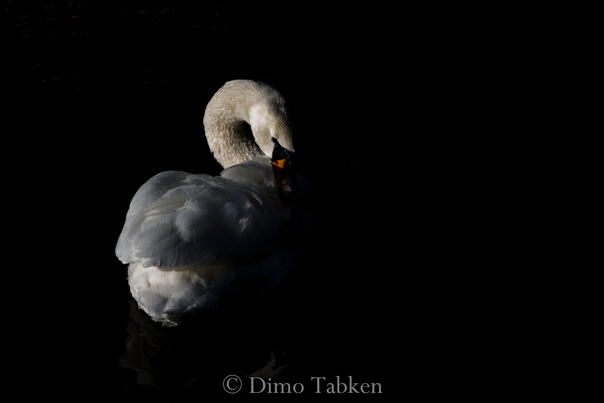 Canon EF 35-80mm f/4-5.6 sample photo. Sunny days are here again ... photography