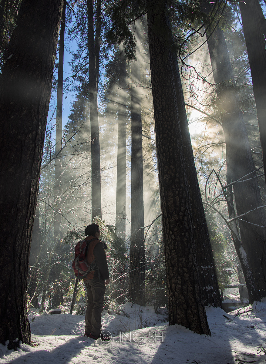 Nikon D810 sample photo. Shine a light on me photography
