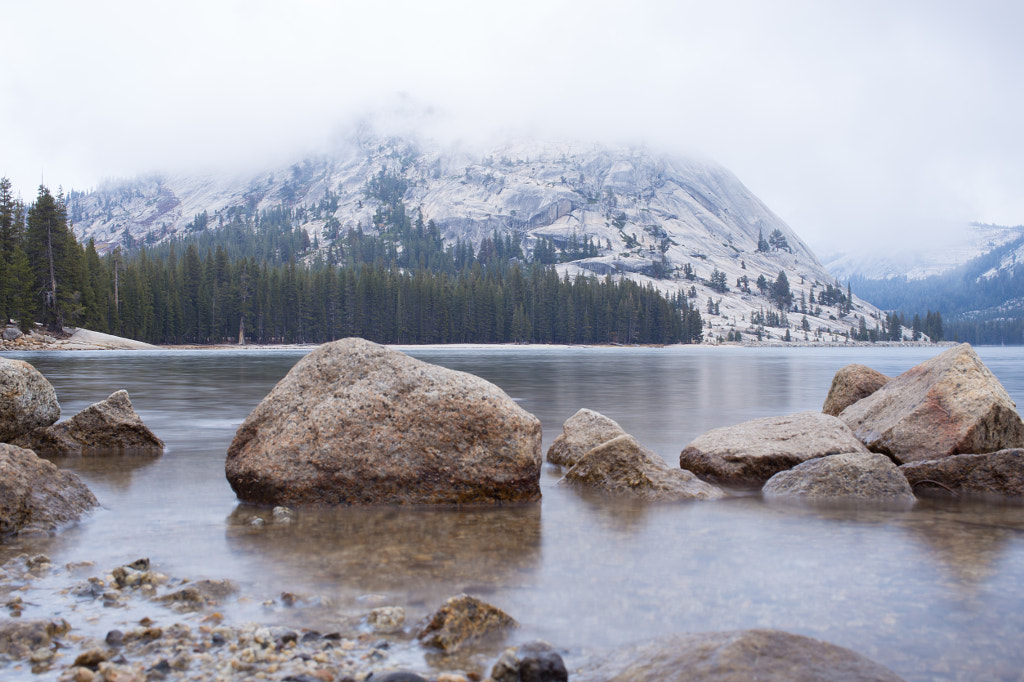 Foggy lake