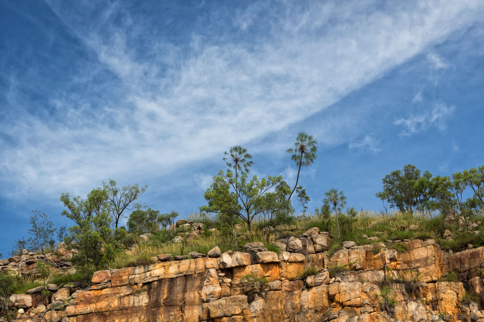 Pentax K-3 II + Sigma 17-50mm F2.8 EX DC HSM sample photo. Cliff top palms photography