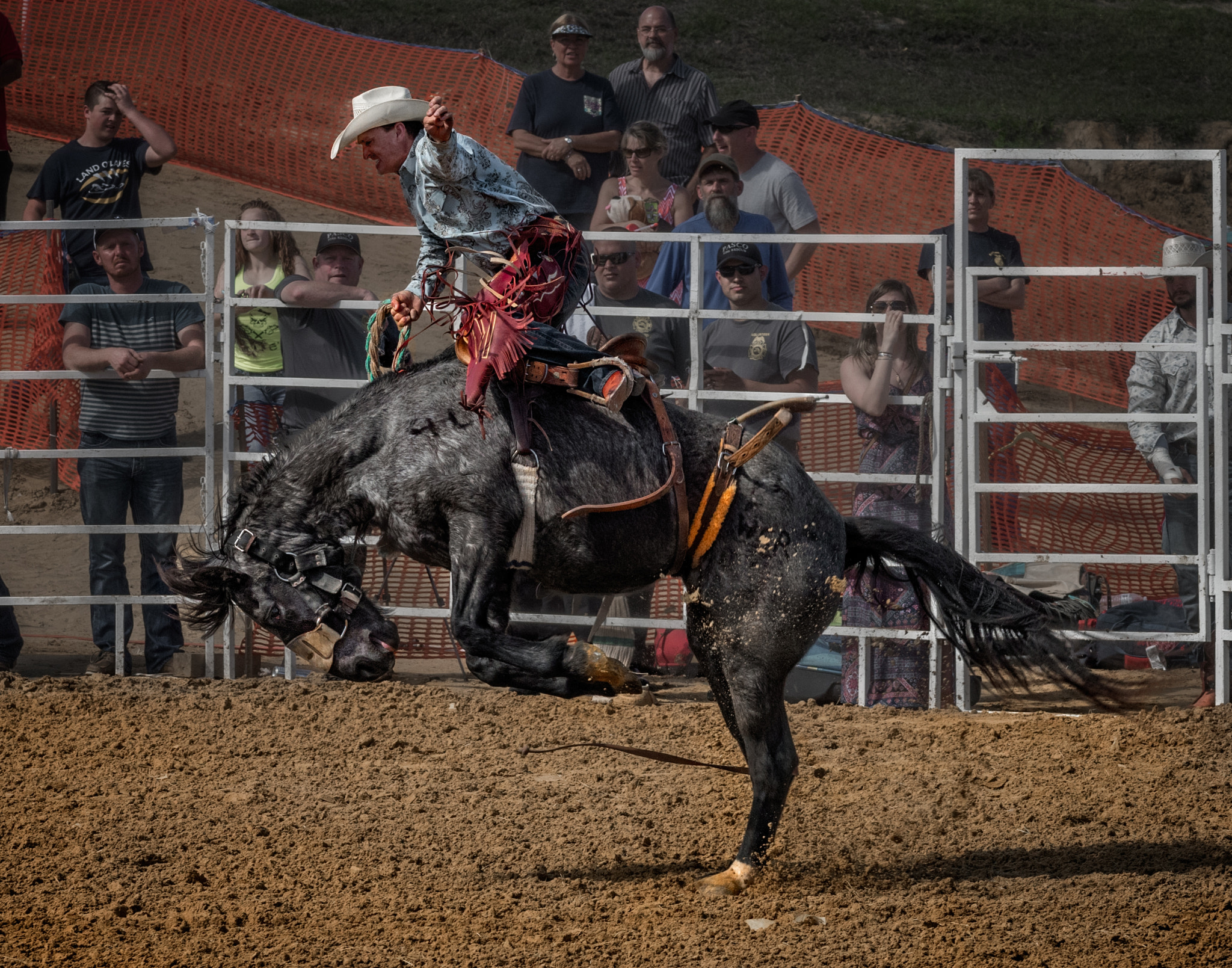 Nikon AF-S Nikkor 70-200mm F4G ED VR sample photo