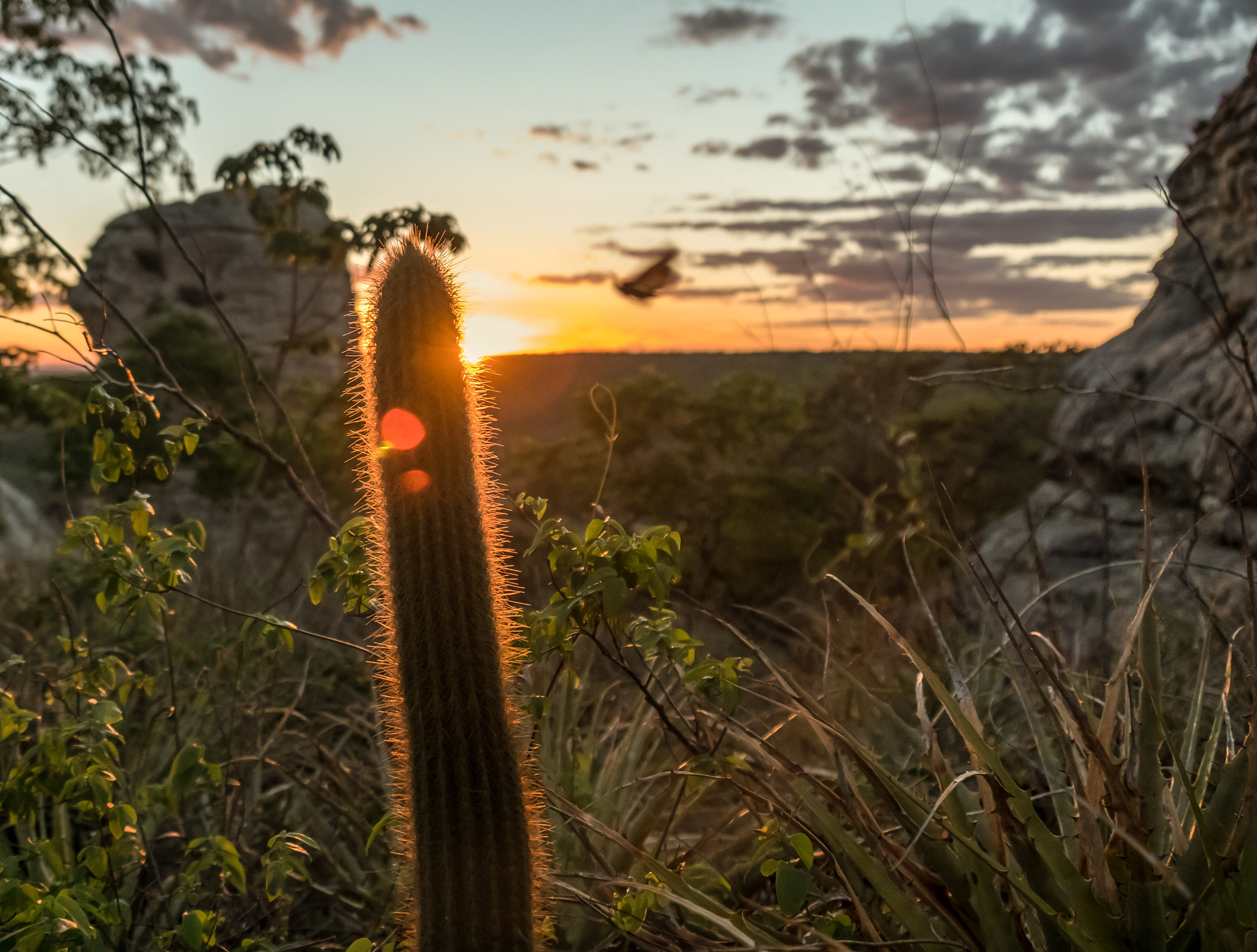 Fujifilm X-T2 sample photo. Sunset, catimbau national park, pernambuco, brazil photography