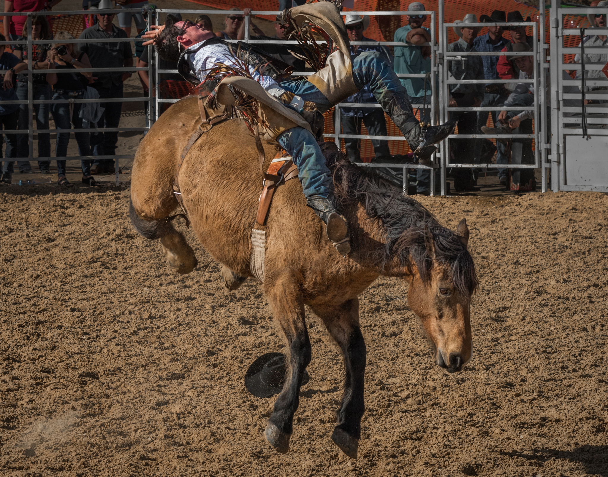 Nikon AF-S Nikkor 70-200mm F4G ED VR sample photo. Bareback photography