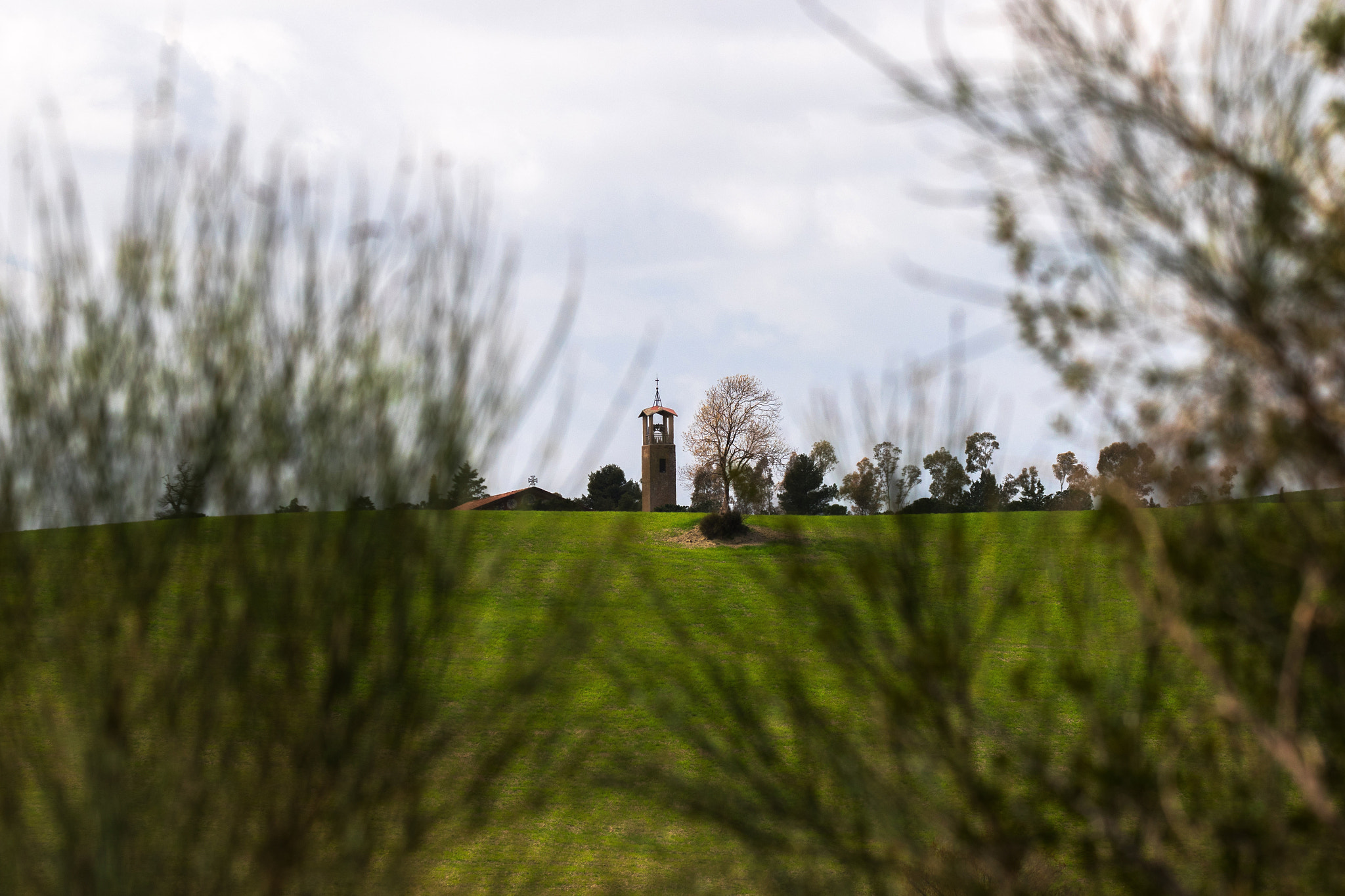 Canon EF 70-200mm F2.8L IS II USM sample photo. Chianti road photography