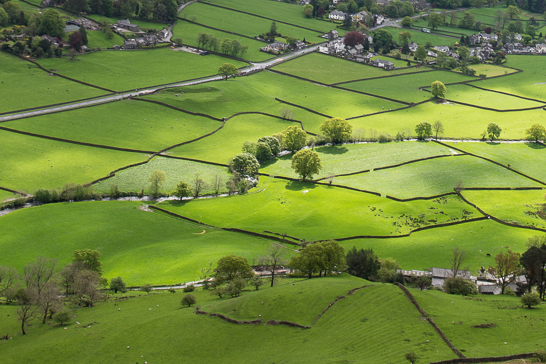 Nikon AF-S Nikkor 18-35mm F3.5-4.5G ED sample photo. Fields near grasmere, lake district photography