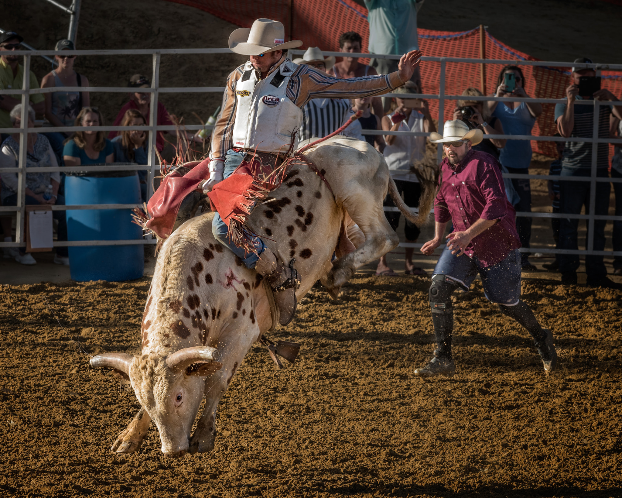 Nikon D810 + Nikon AF-S Nikkor 70-200mm F4G ED VR sample photo. Bull rider photography