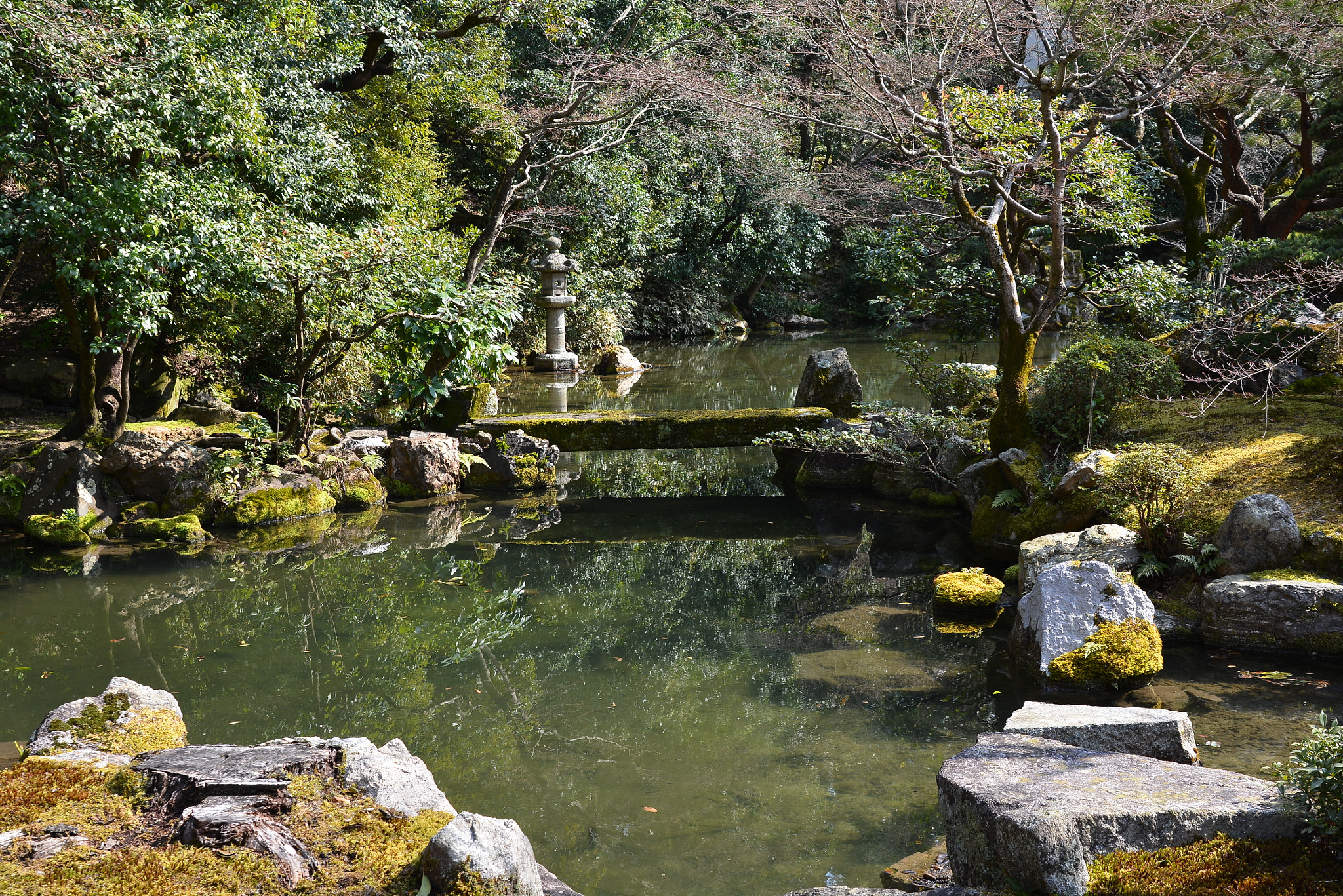 Nikon D7100 sample photo. Dsc photography