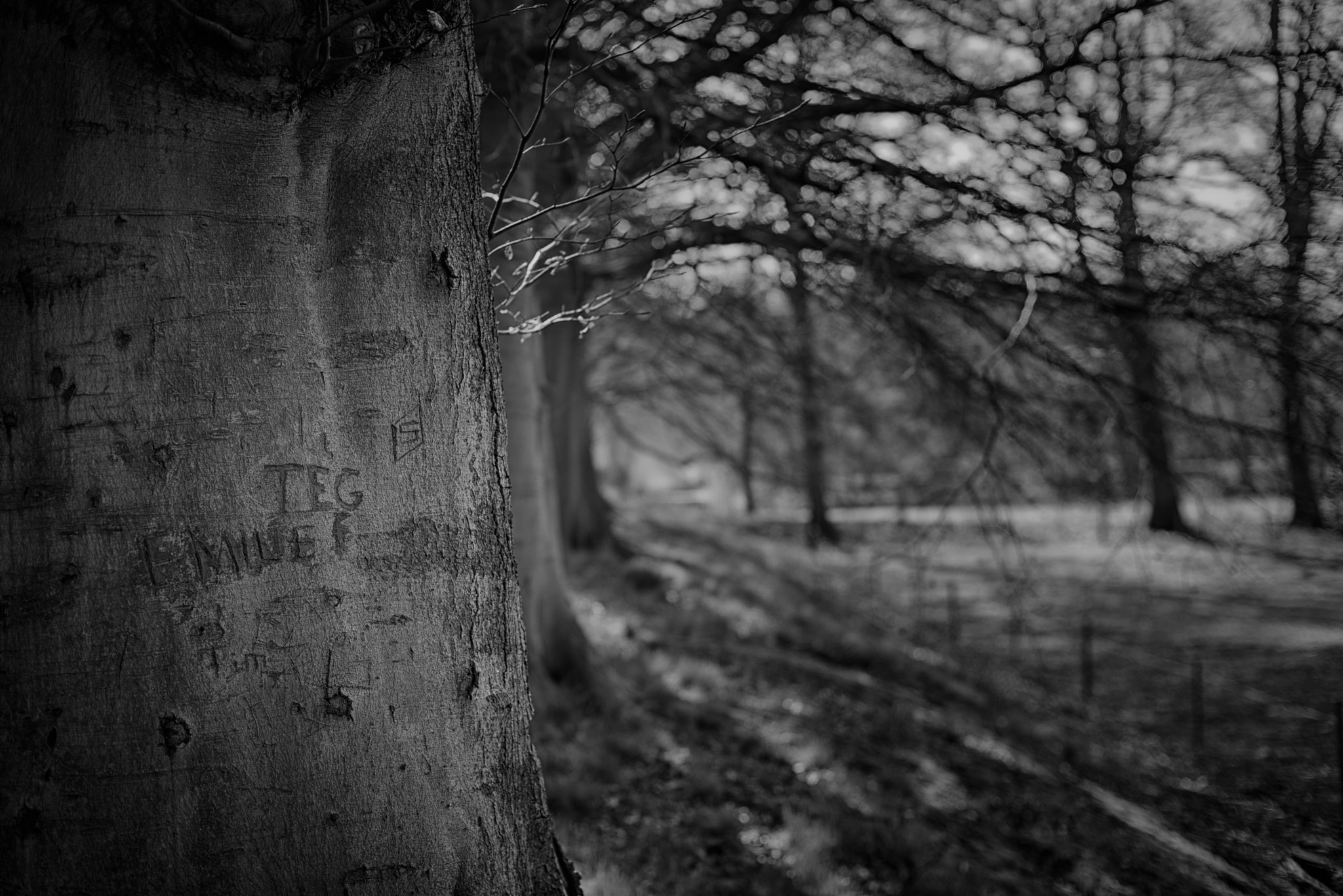 Nikon AF Nikkor 50mm F1.4D sample photo. The writing stays photography