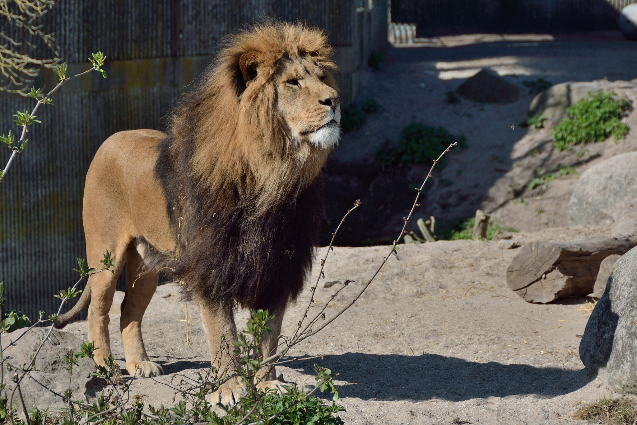 Nikon D7100 sample photo. Spring 2016 photography