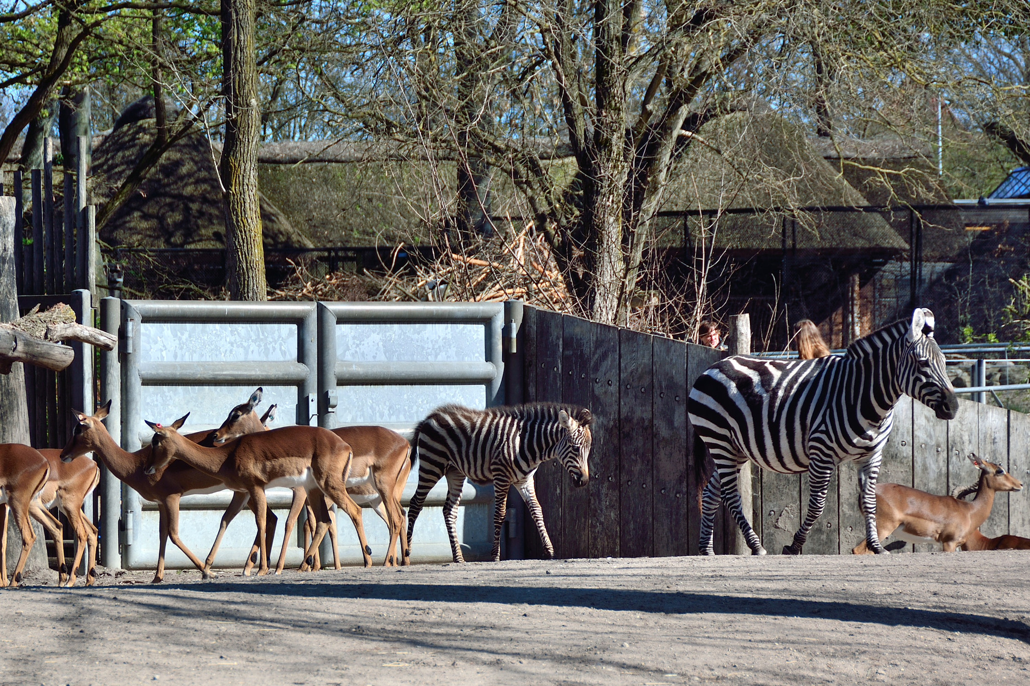 Nikon D7100 sample photo. Spring 2016 photography