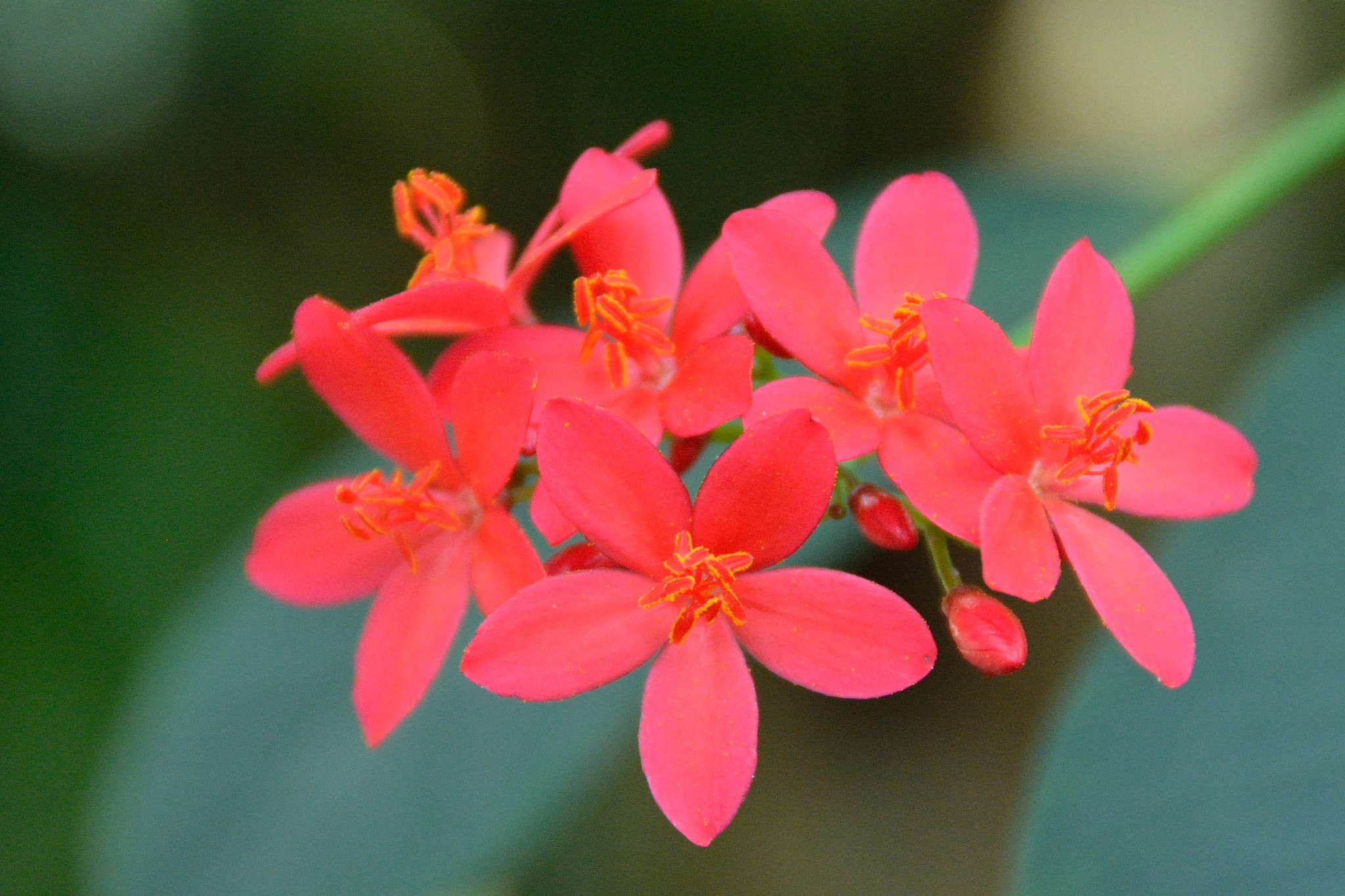 Nikon D7100 sample photo. Spring 2016 photography