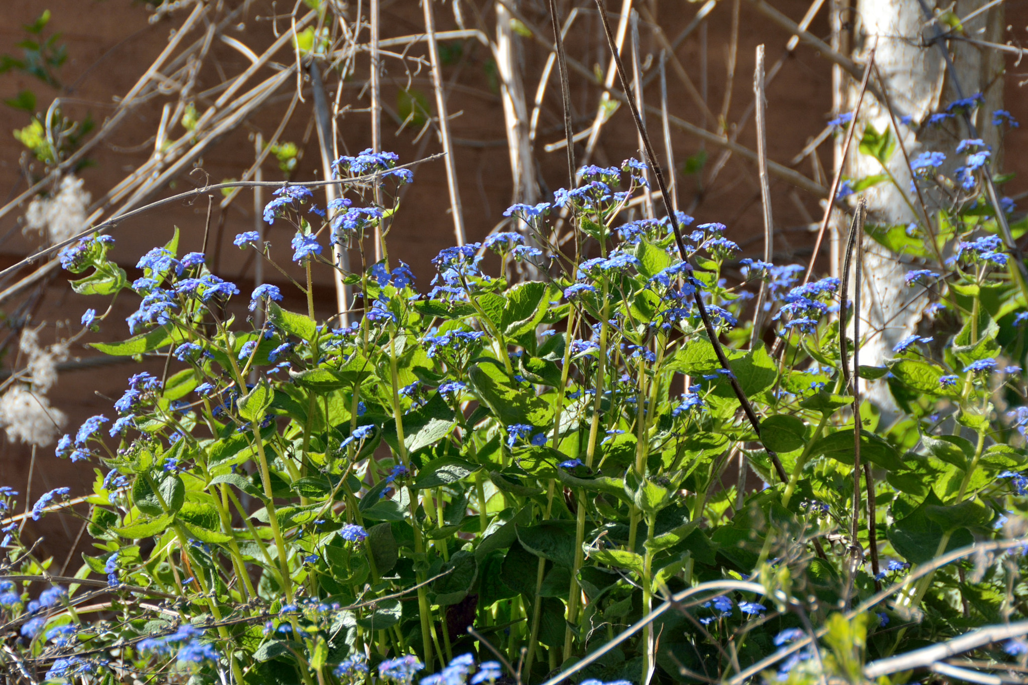 Nikon D7100 + Nikon AF-S DX Nikkor 18-200mm F3.5-5.6G ED VR II sample photo. Spring 2016 photography