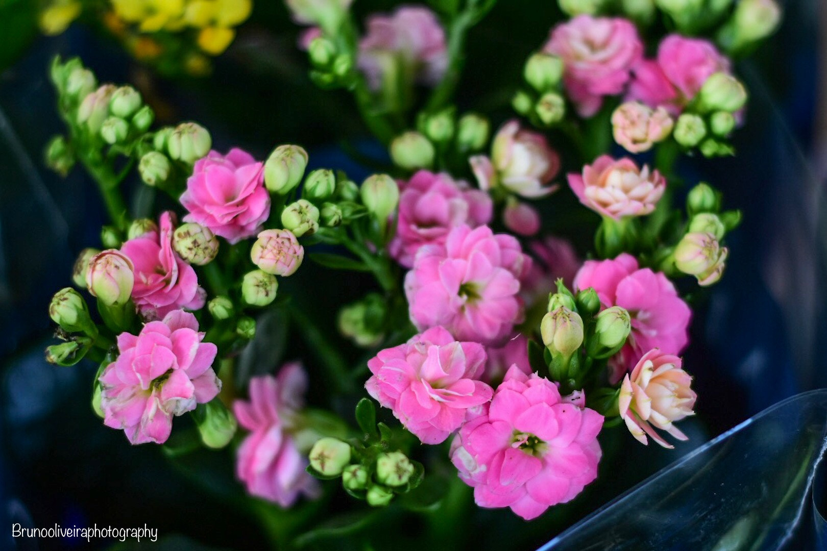 Nikon AF Nikkor 50mm F1.8D sample photo. Very early in the morning!  photography