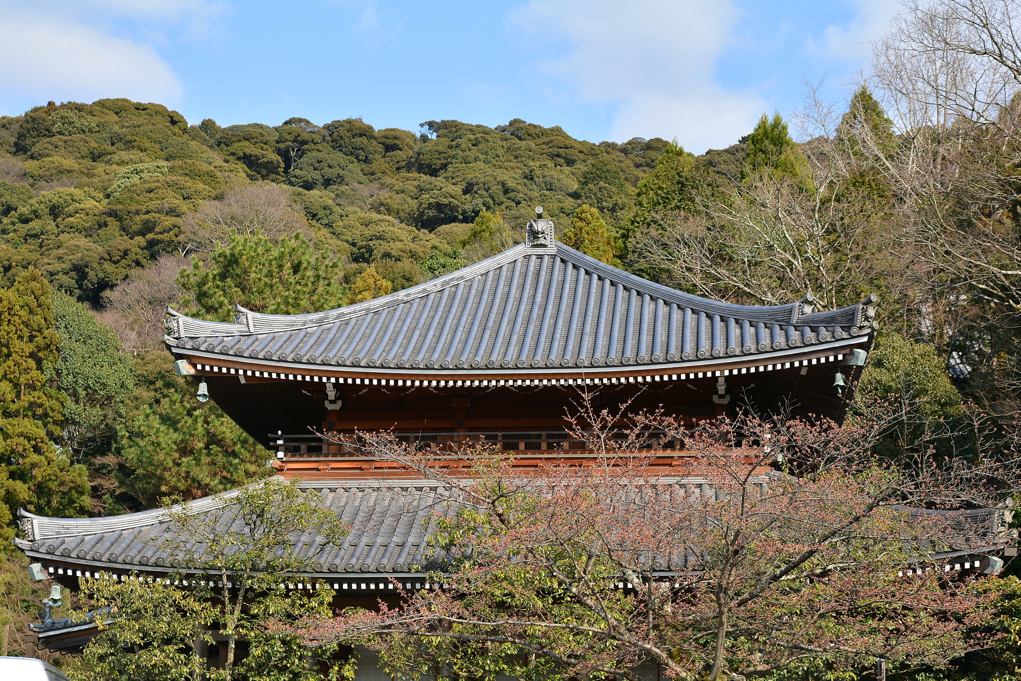 Nikon D7100 sample photo. Dsc photography