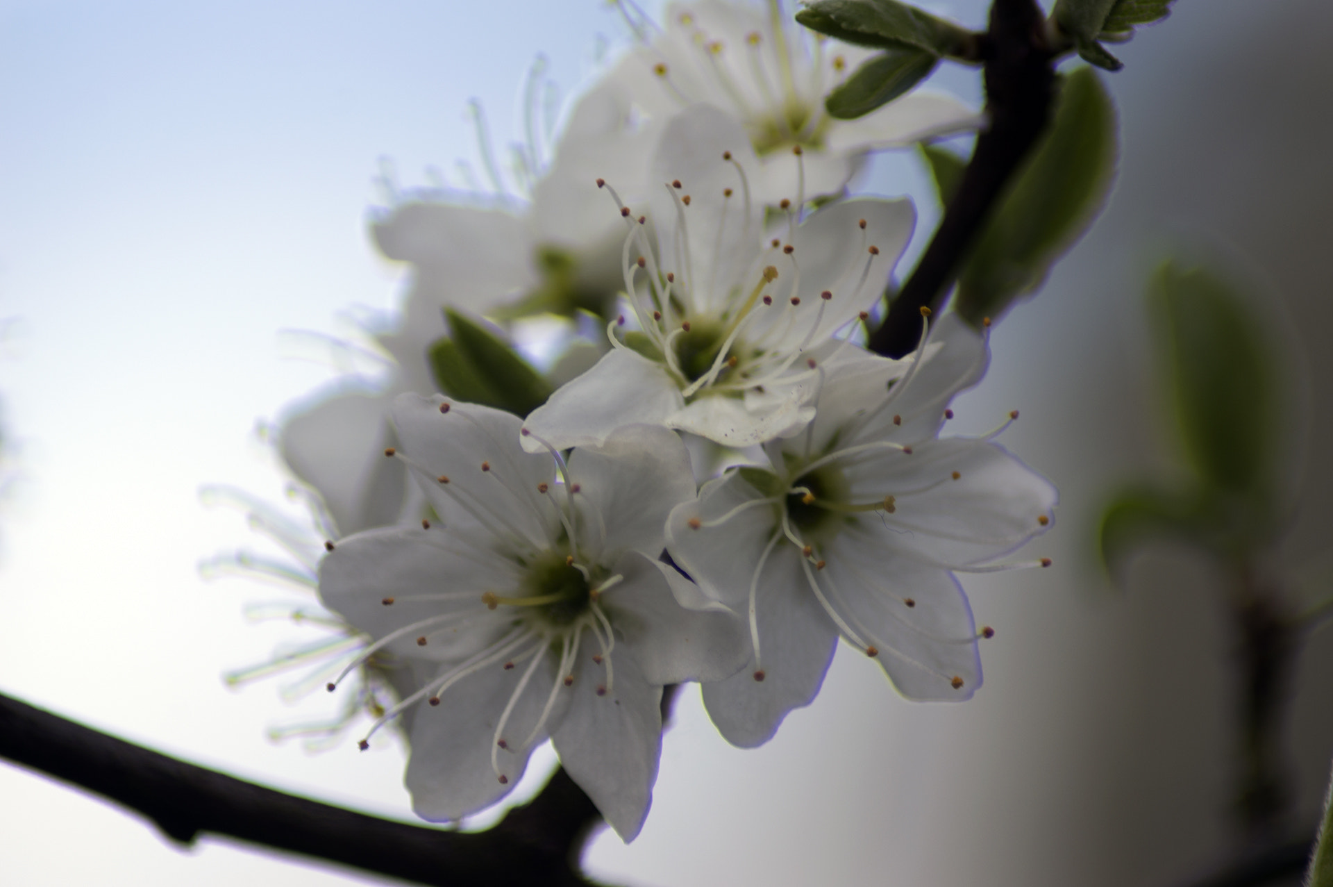 Nikon D3200 sample photo. 3.jpg photography
