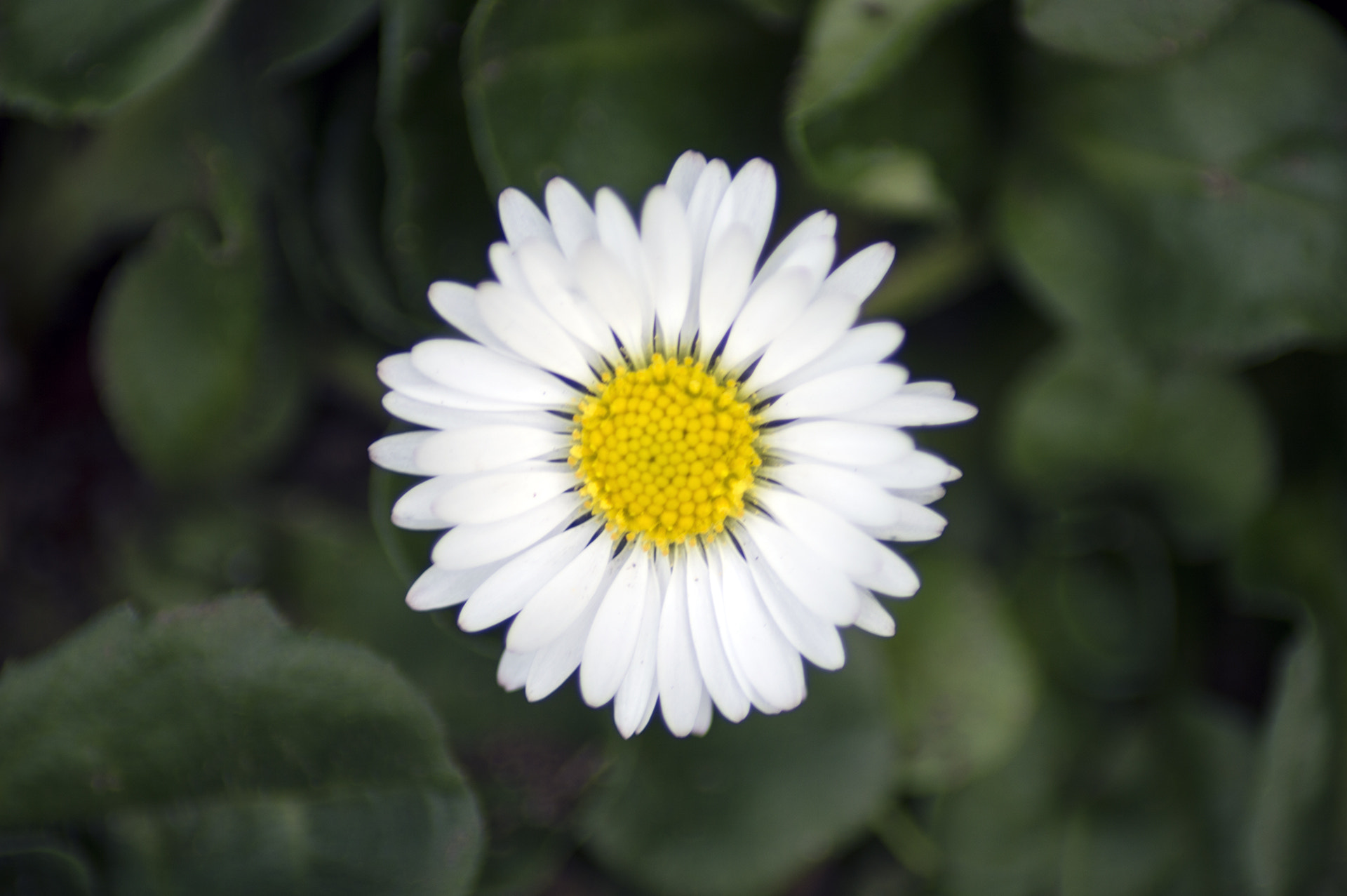 Nikon D3200 sample photo. 4.jpg photography