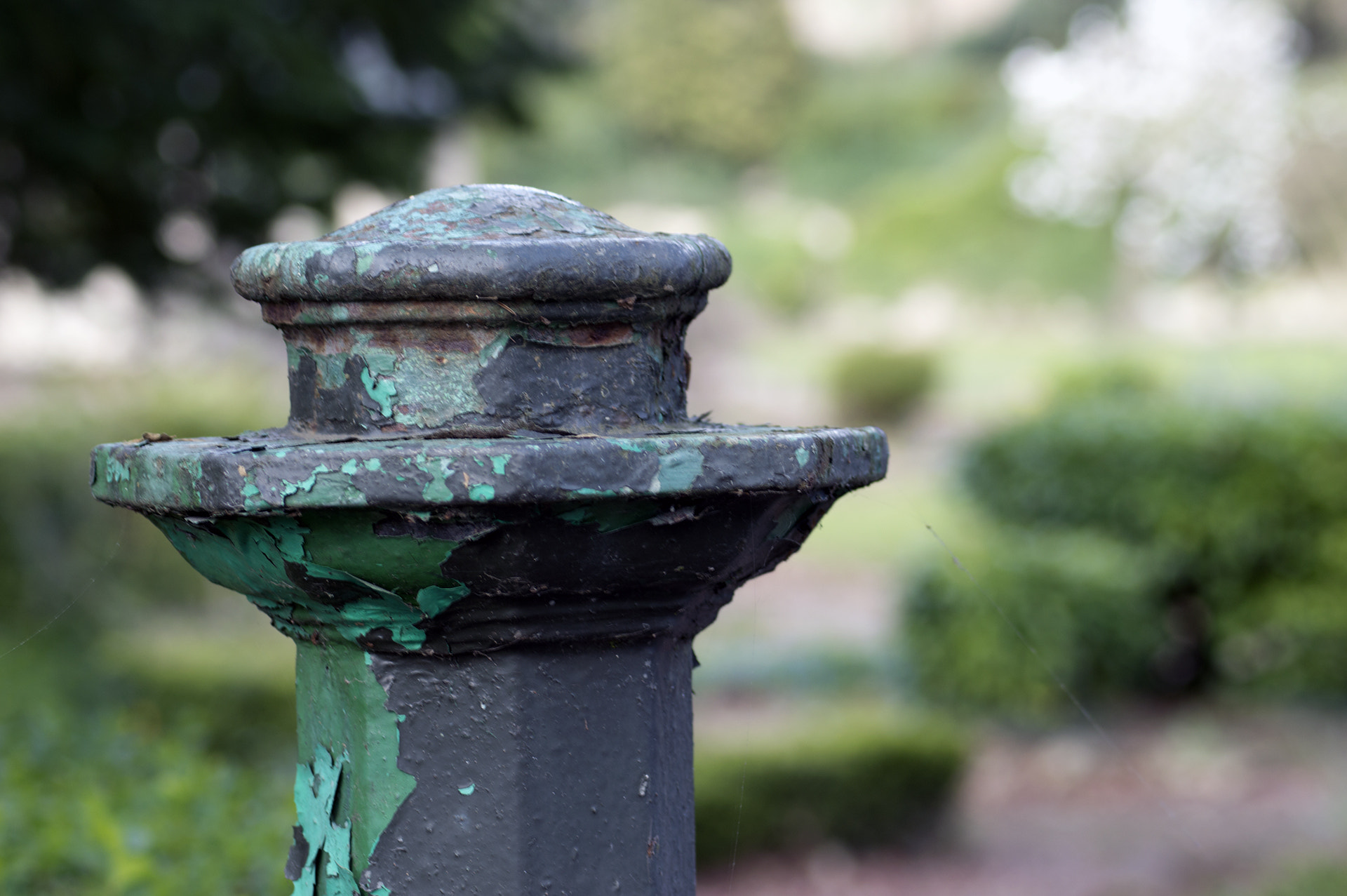 Nikon D3200 sample photo. 5.jpg photography