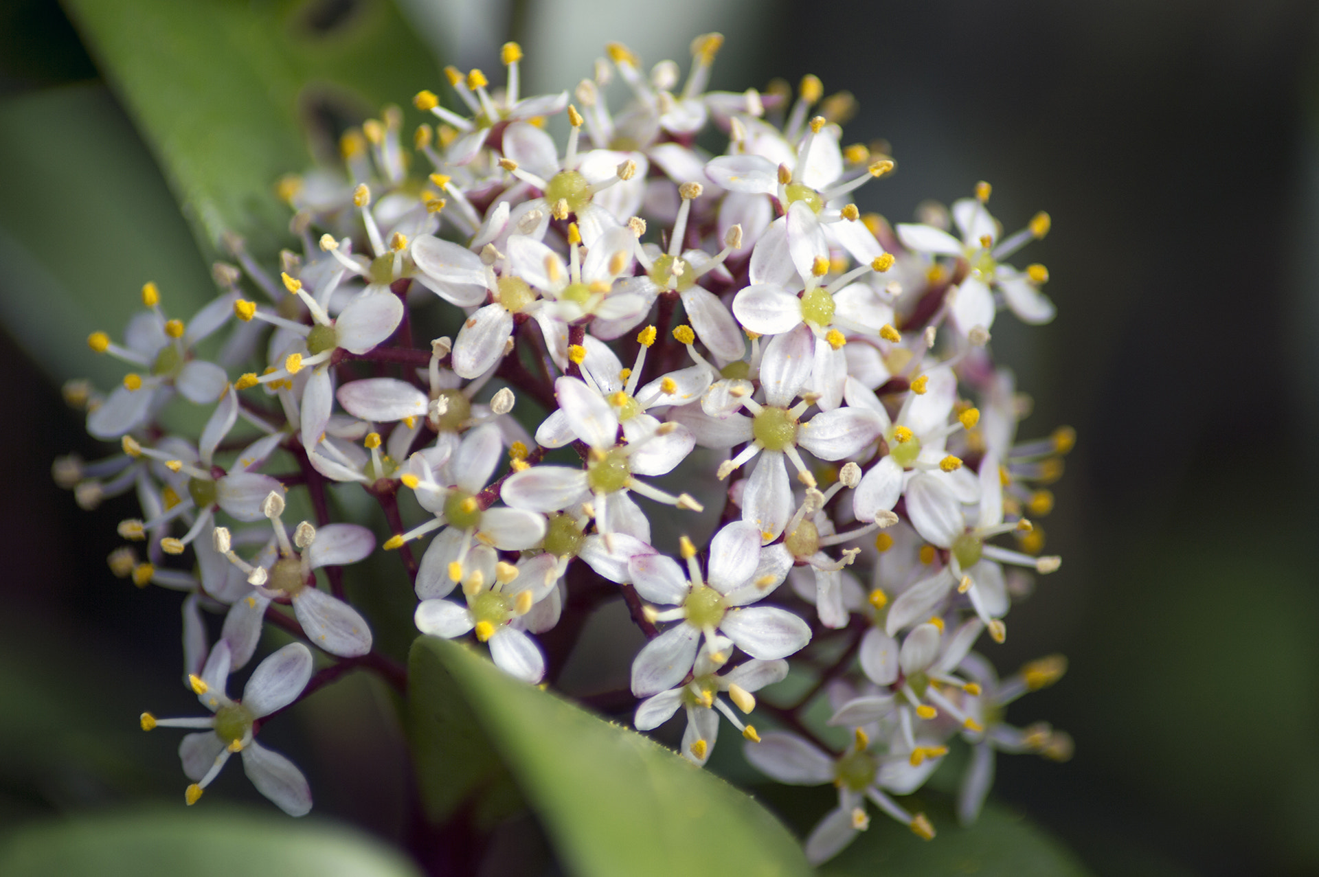 Nikon D3200 sample photo. 6.jpg photography