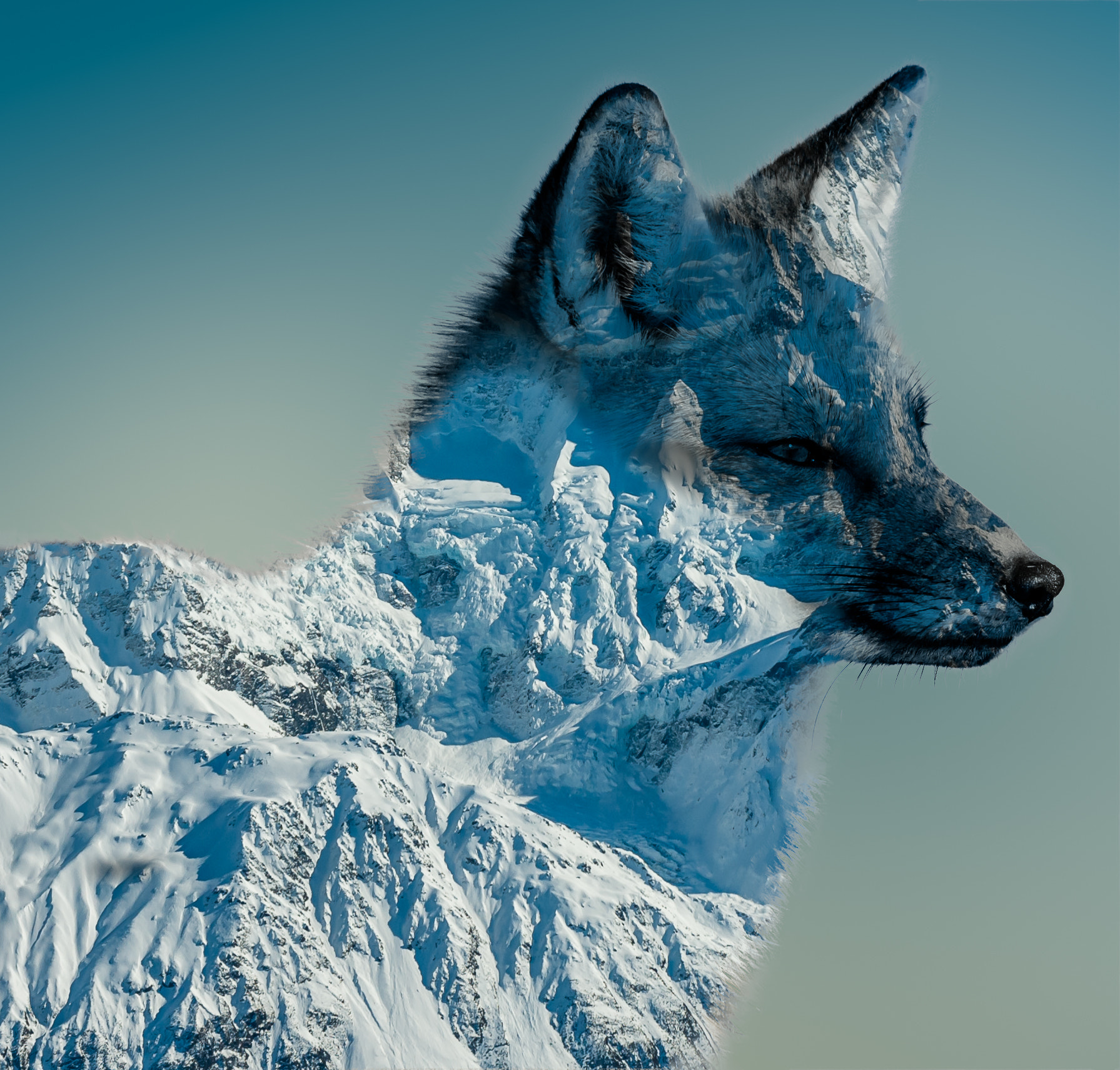 Nikon D750 sample photo. Fox in the mountains photography