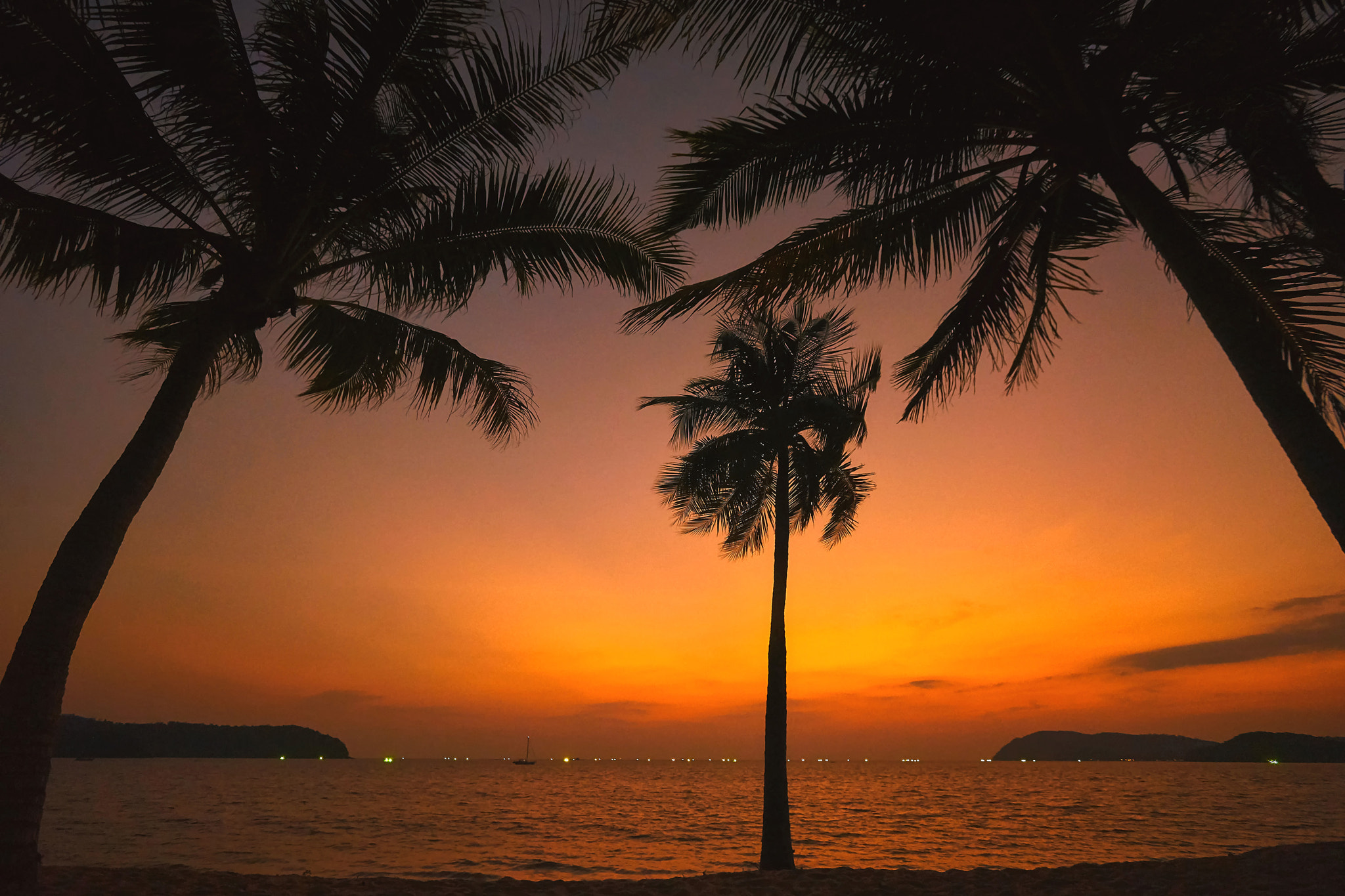 Sony a7 II sample photo. Sunset under the palms photography