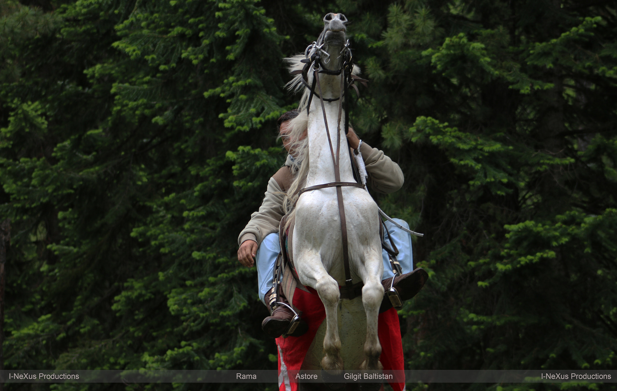 Canon EOS 70D + EF75-300mm f/4-5.6 sample photo. Horse in action photography