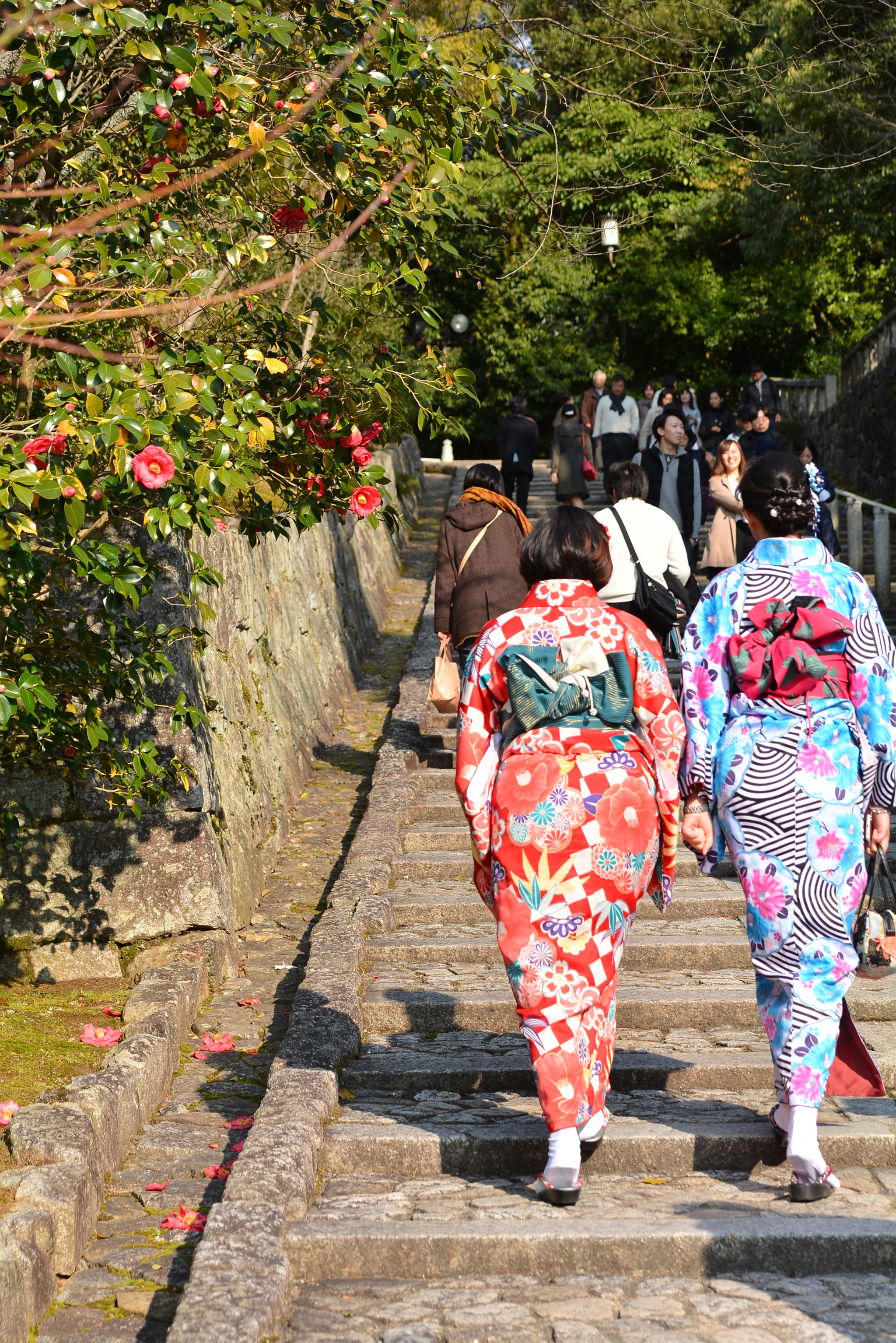 Nikon D7100 sample photo. Dsc photography