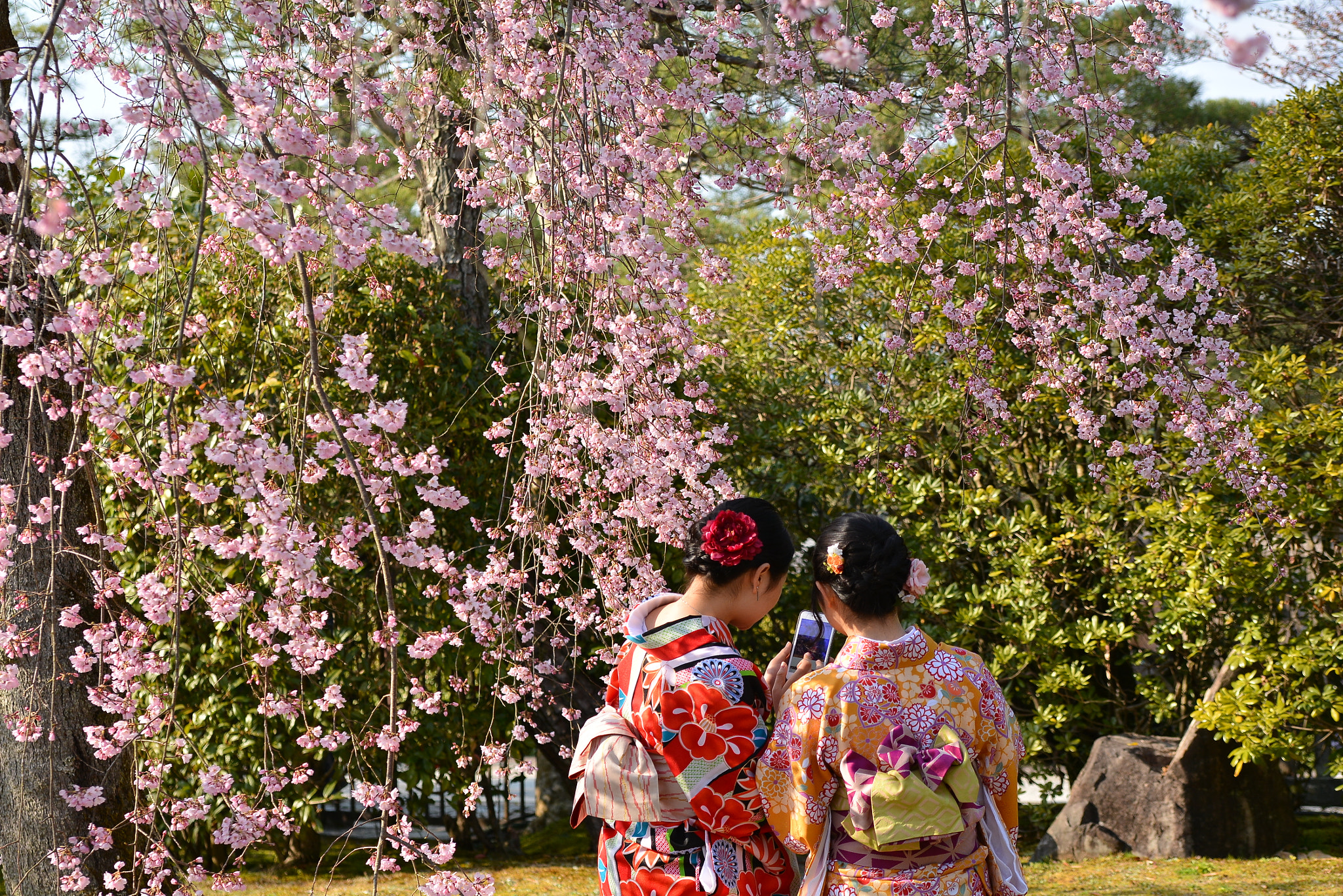Nikon D7100 sample photo. Dsc photography