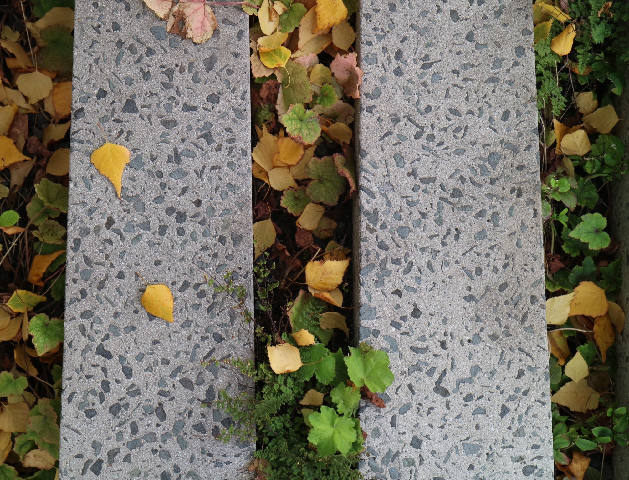 Canon EOS M3 sample photo