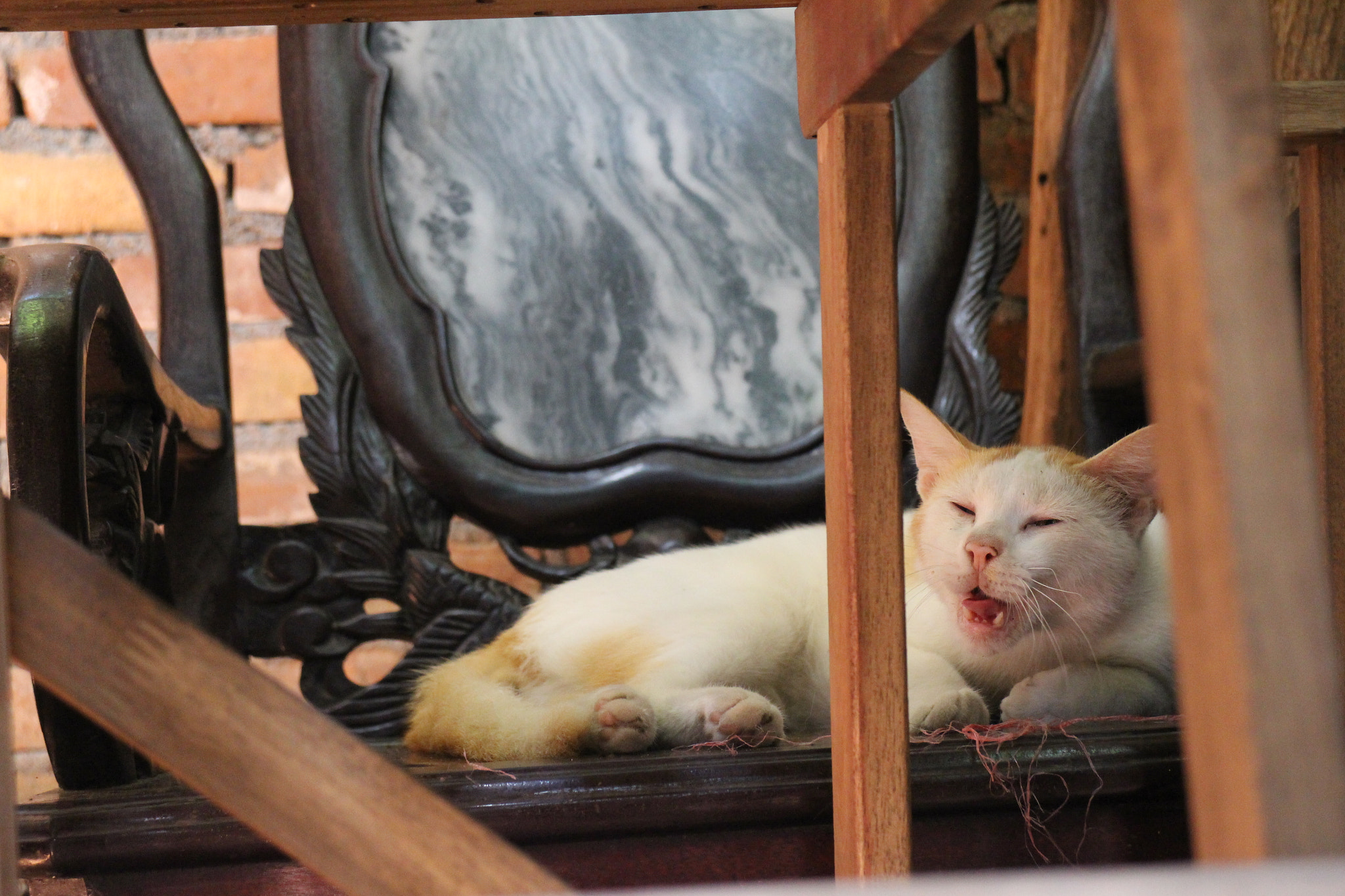 Canon EOS M2 sample photo. Img photography