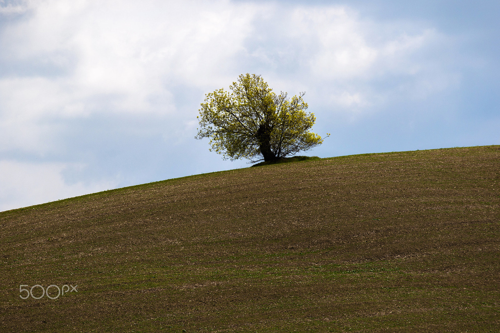 Canon EF 70-200mm F2.8L IS II USM sample photo. Chianti road photography