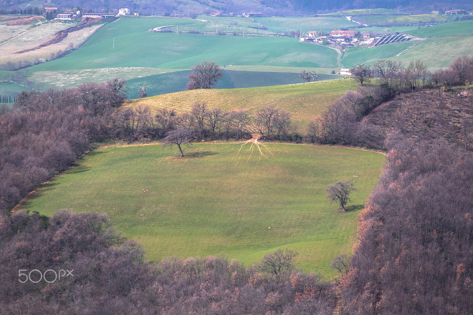 Canon EF 70-200mm F2.8L IS II USM sample photo. Chianti road photography