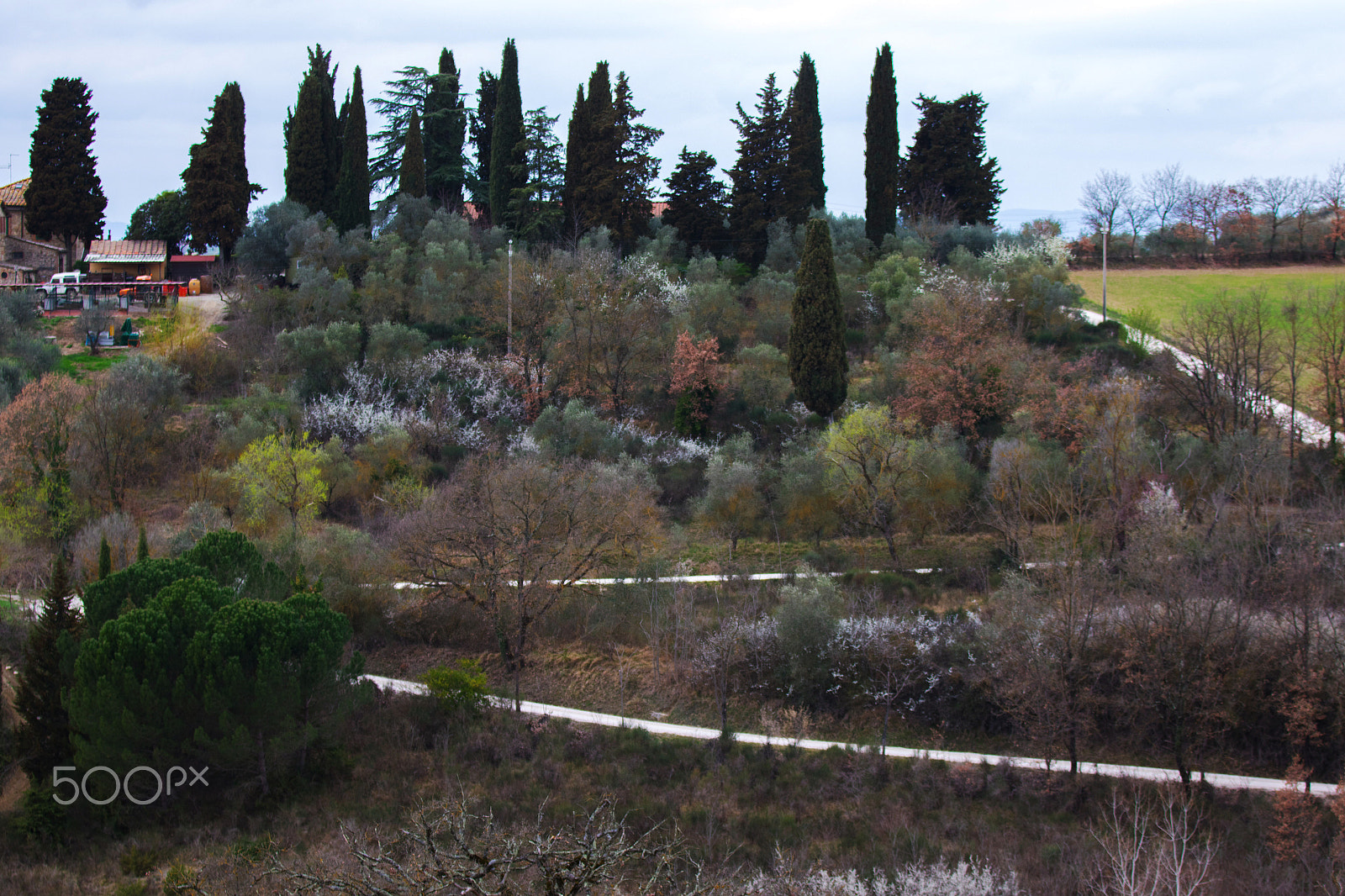 Canon EF 70-200mm F2.8L IS II USM sample photo. Chianti road photography