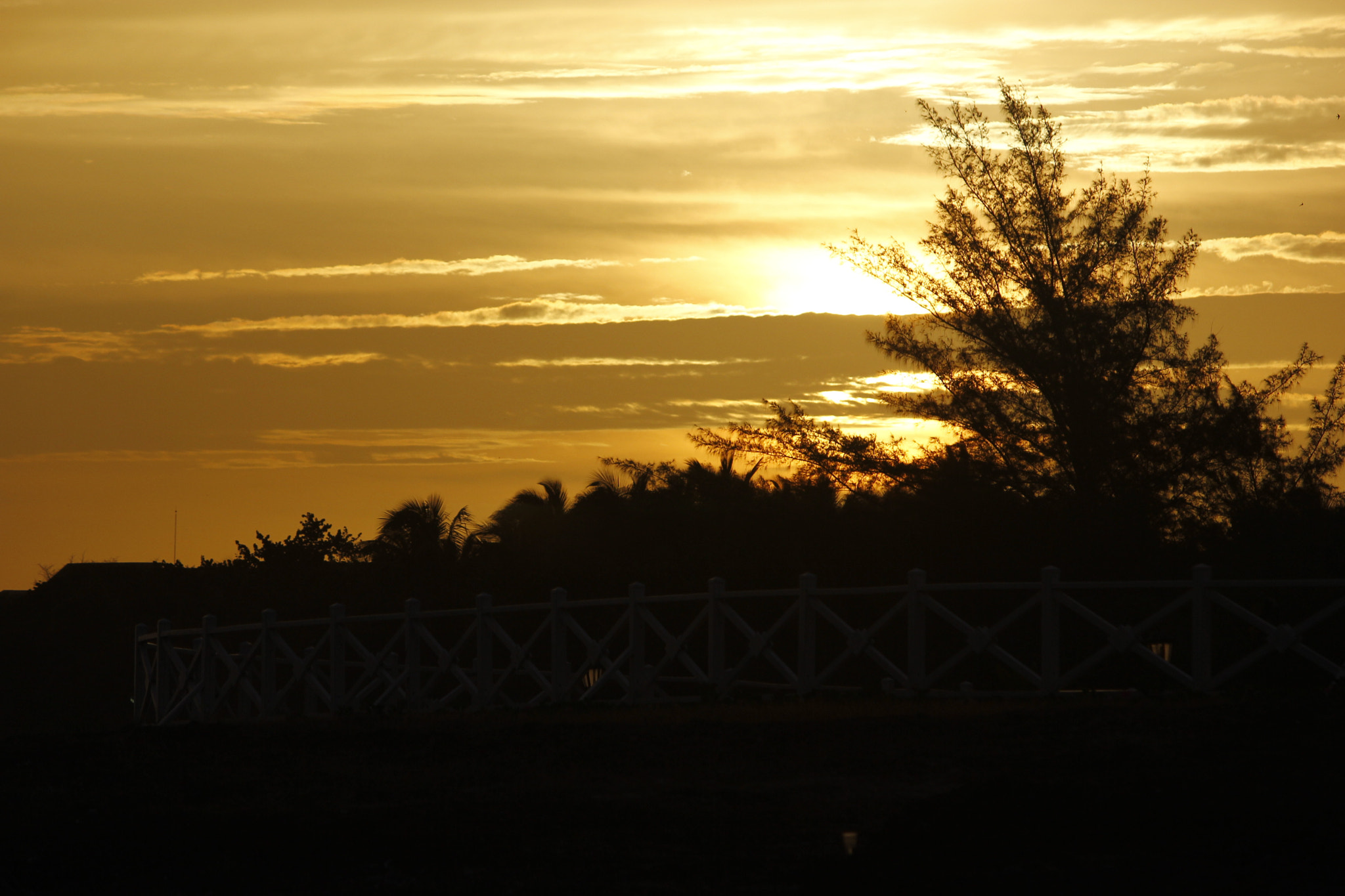 Canon EF-S 55-250mm F4-5.6 IS II sample photo. Kuba photography