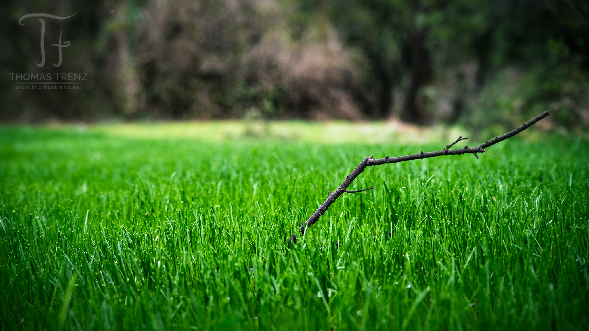 Nikon D600 sample photo. In the field photography
