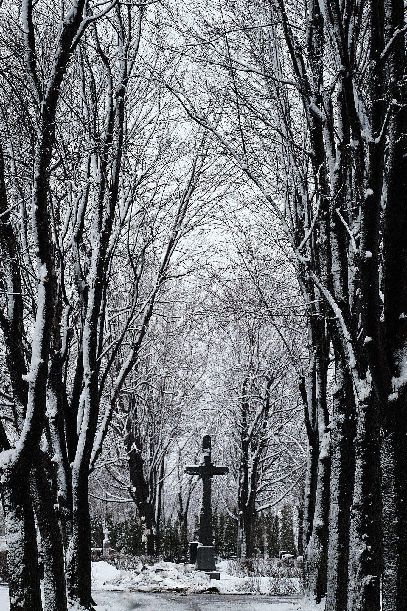 Fujifilm X-T1 + ZEISS Touit 50mm F2.8 sample photo. Cemetery. photography