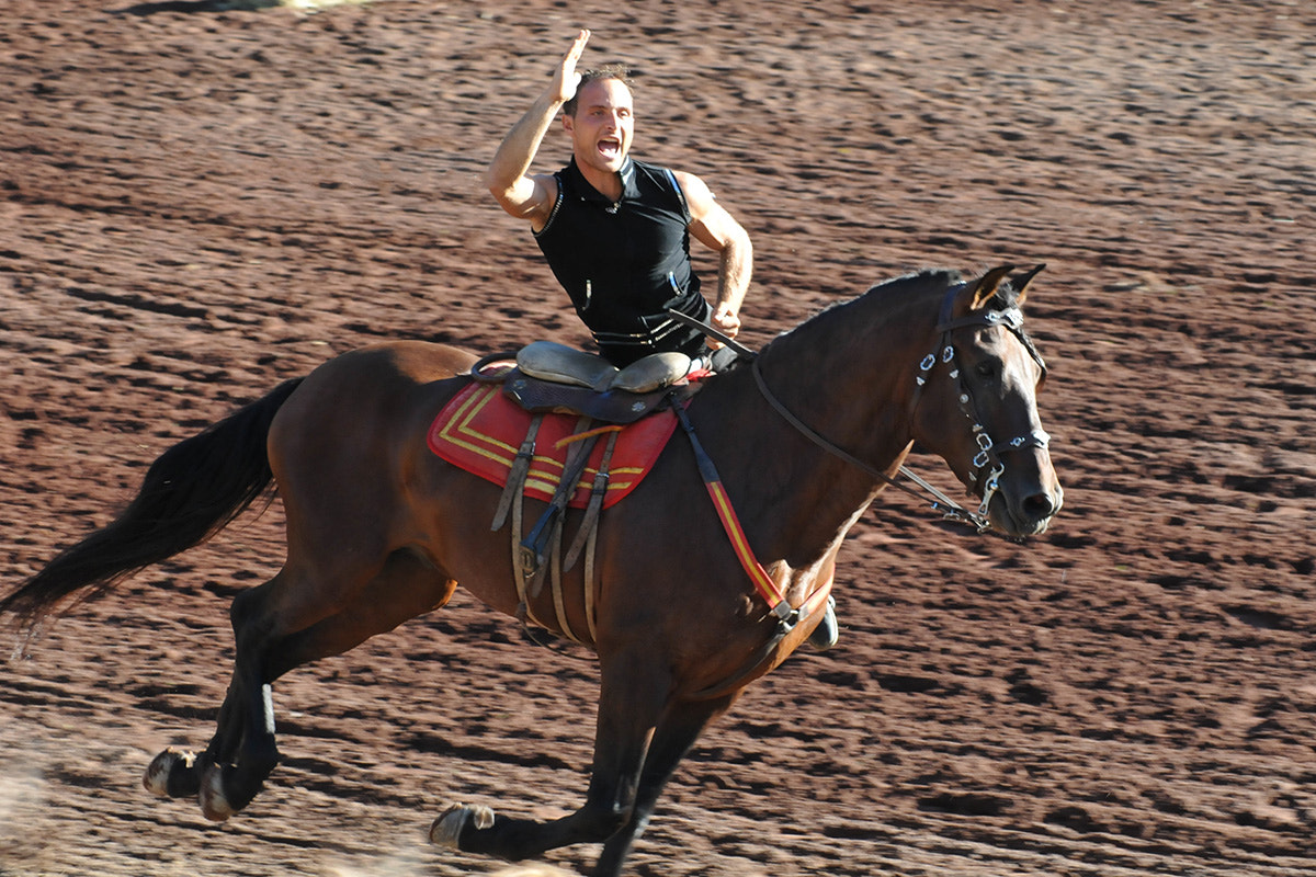 Nikon D300S sample photo. Acrobatics on horseback photography
