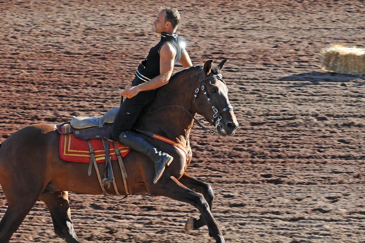 Nikon D300S sample photo. Acrobatics on horseback photography
