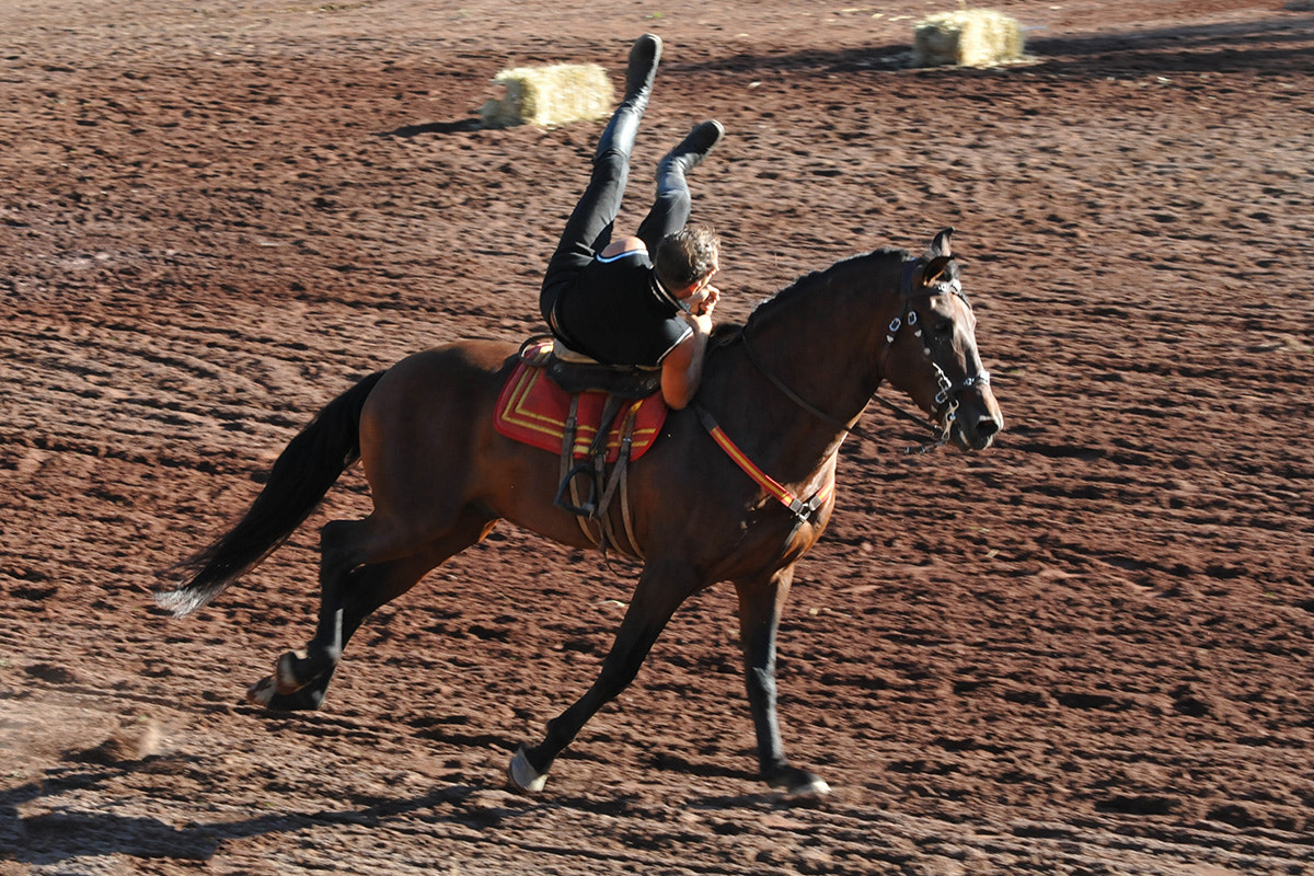 Nikon D300S sample photo. Acrobatics on horseback photography